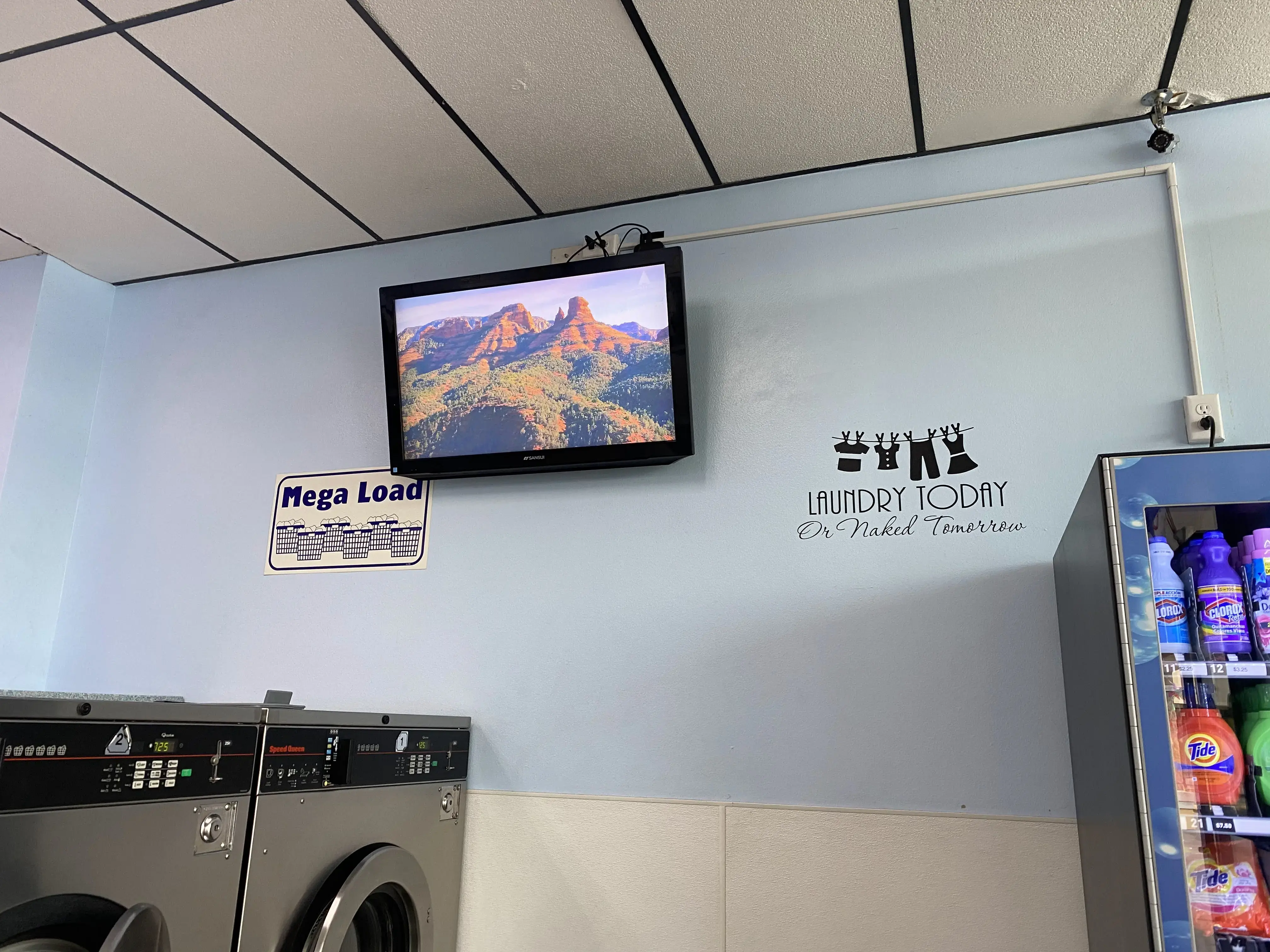1 Clean Laundry - Image 5