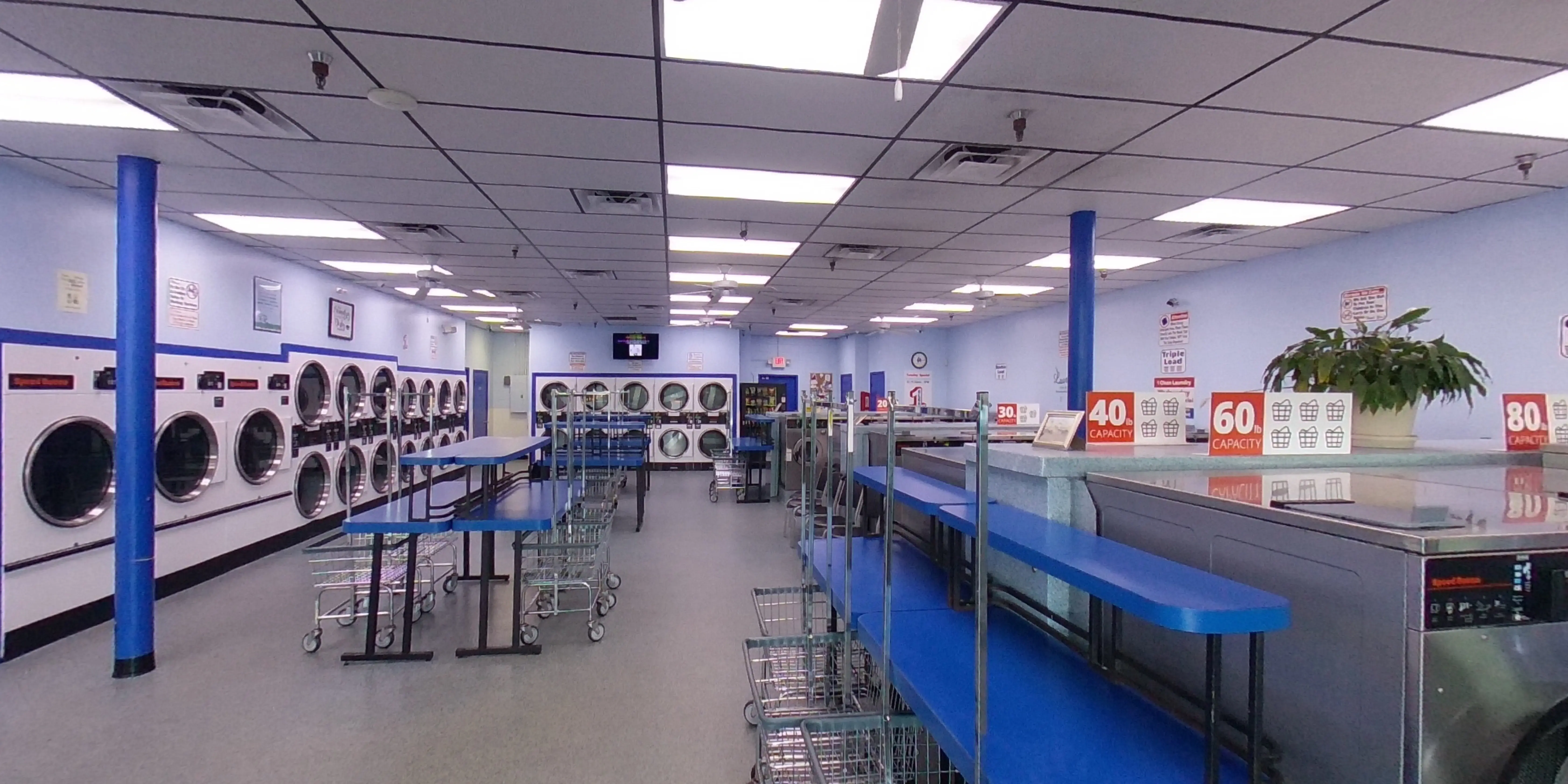 1 Clean Laundry thumbnail 9