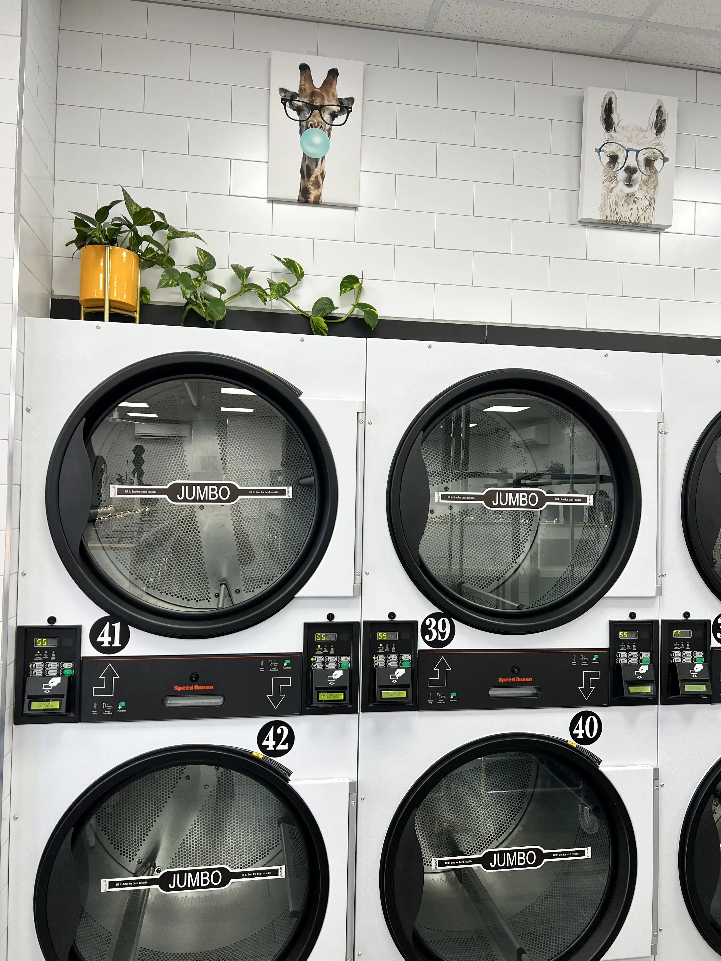 108 Corona Megawash Laundromat thumbnail 16