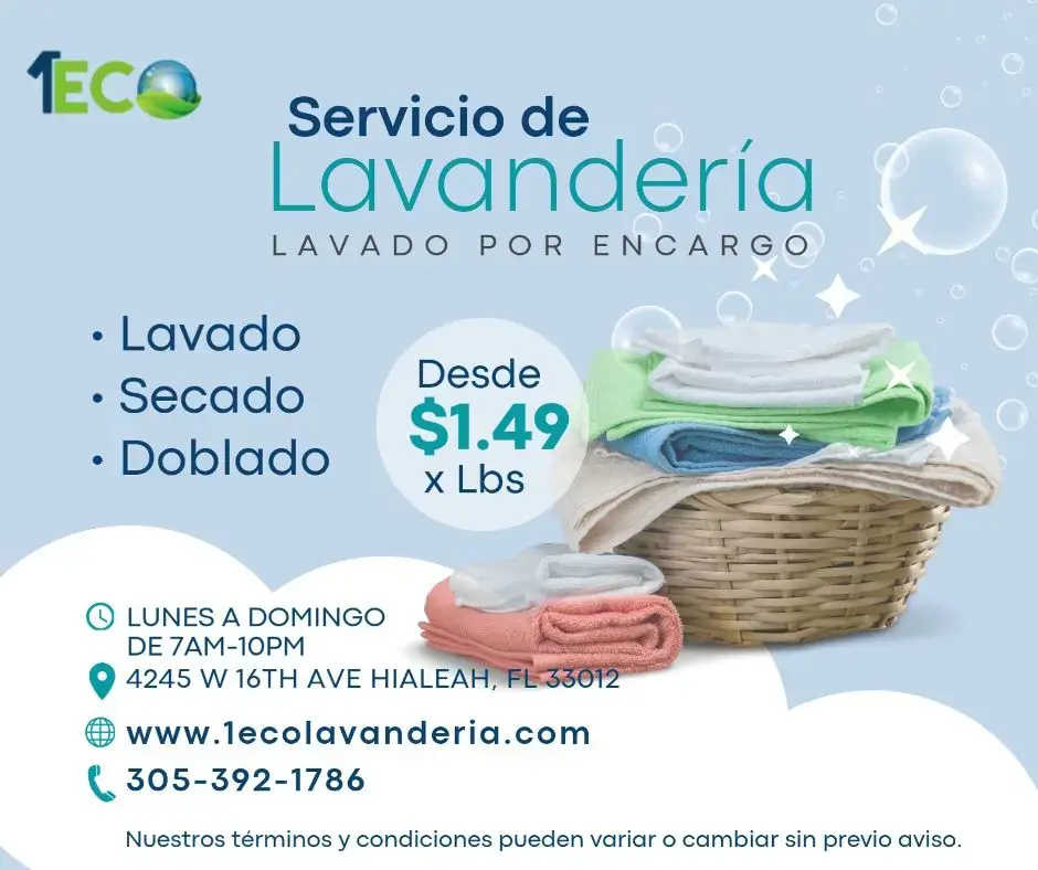 1Eco Coin Laundry & Dry cleaning - Image 10