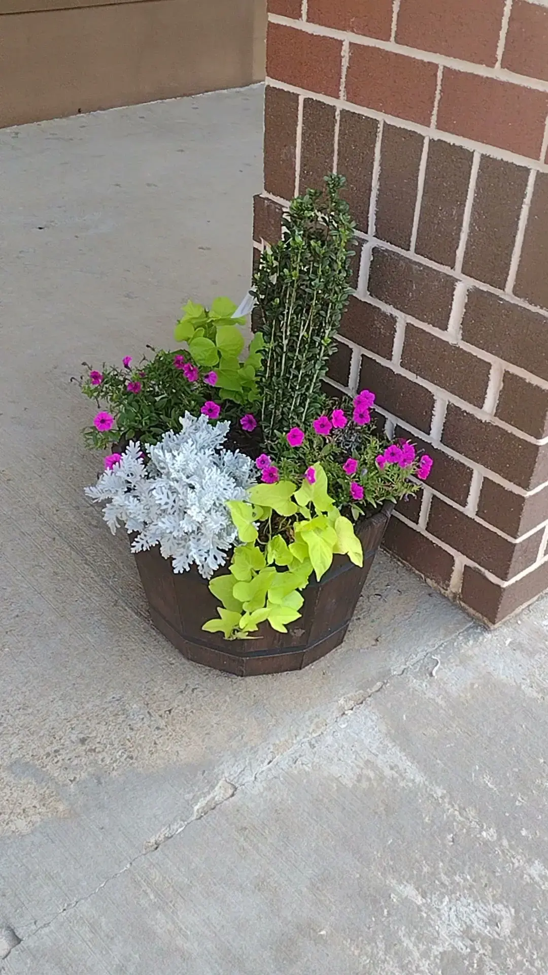 1st Fresh Laundromat thumbnail 7