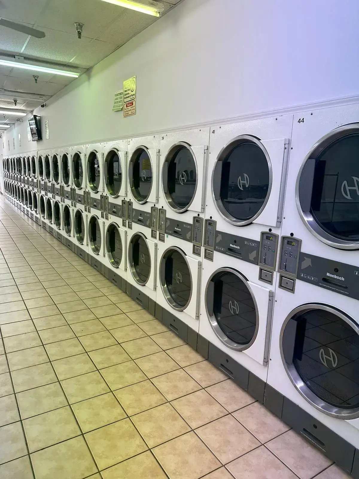 1st Wash & Dry - Image 4