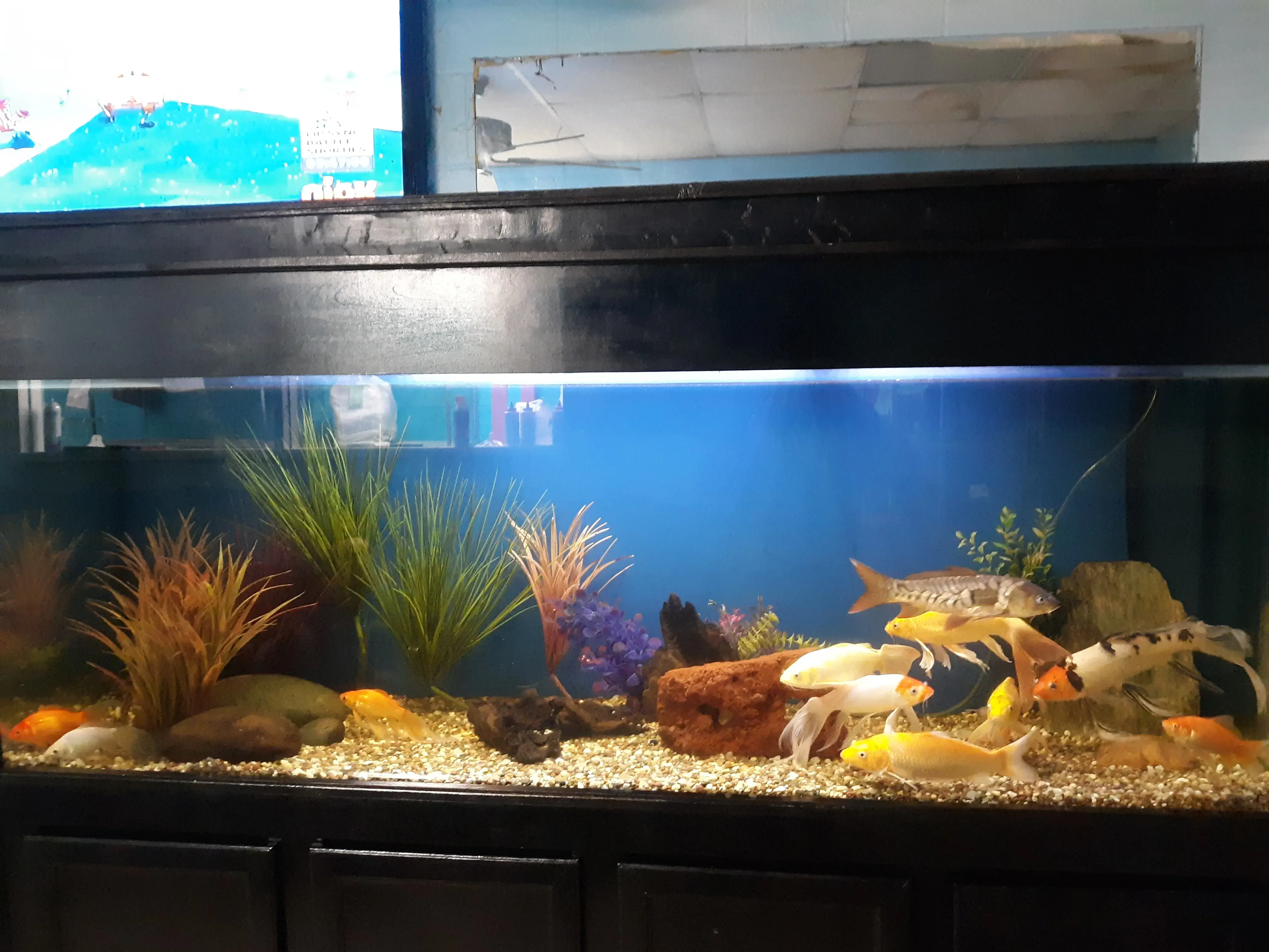 24 Hour Laundromat | Washateria | Wash & Fold - Image 9