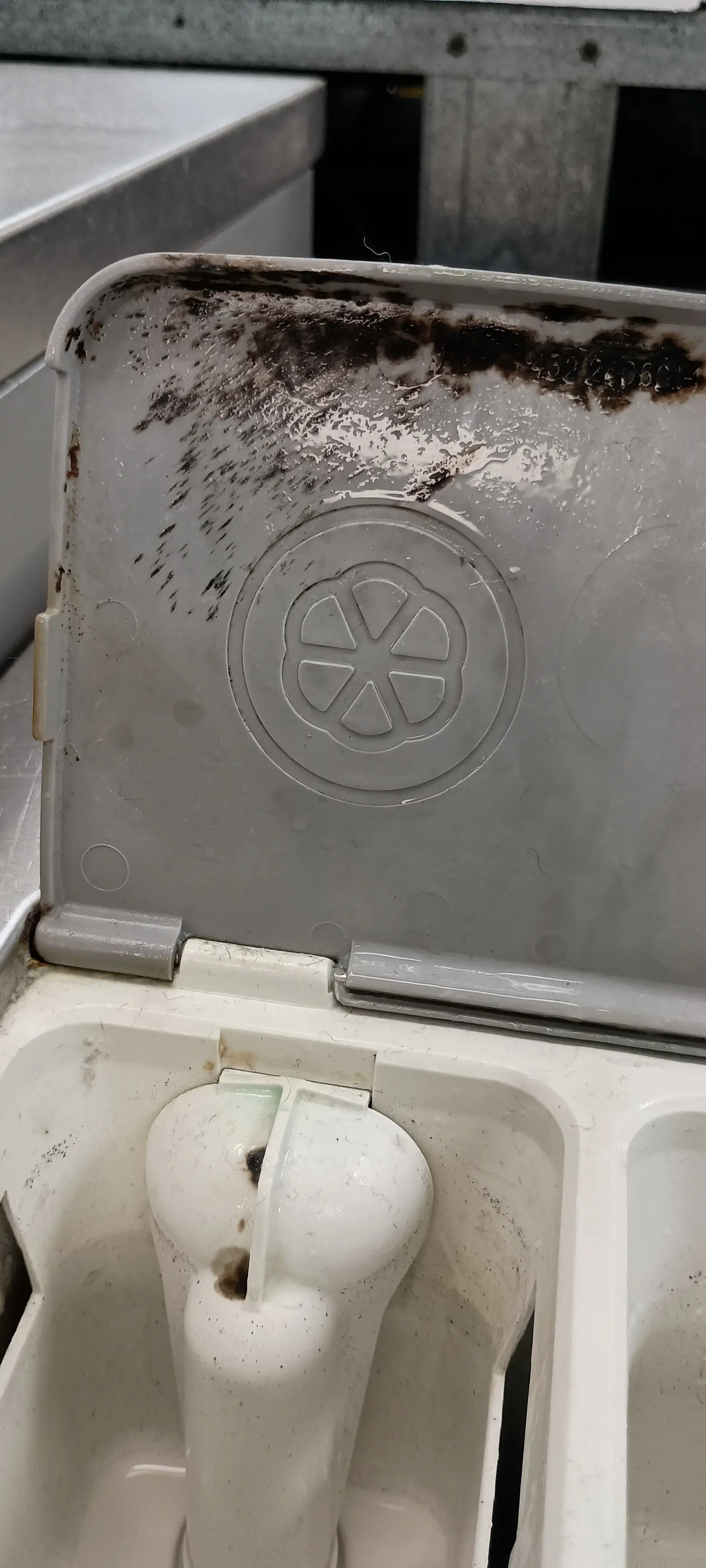 24 Hour Laundry Zone Callahan thumbnail 12