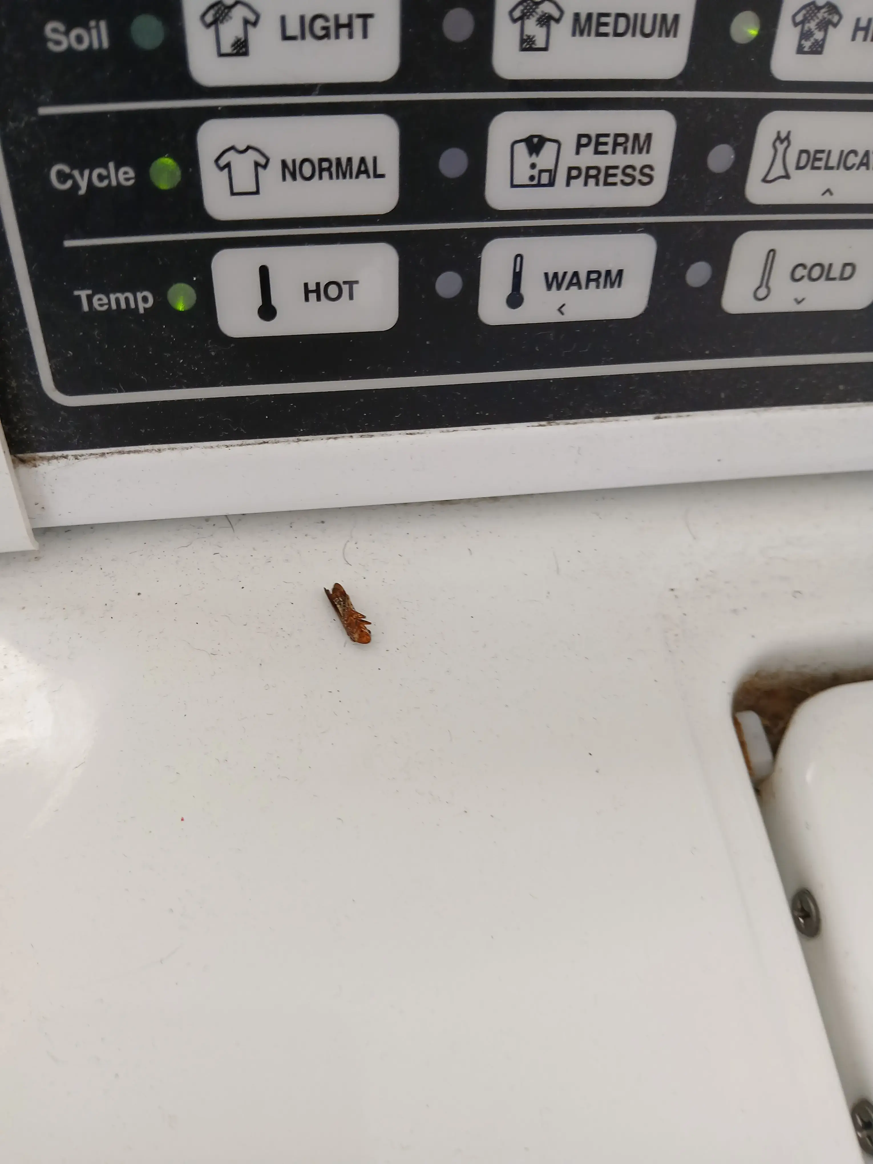 24/7 Coin Laundry thumbnail 10