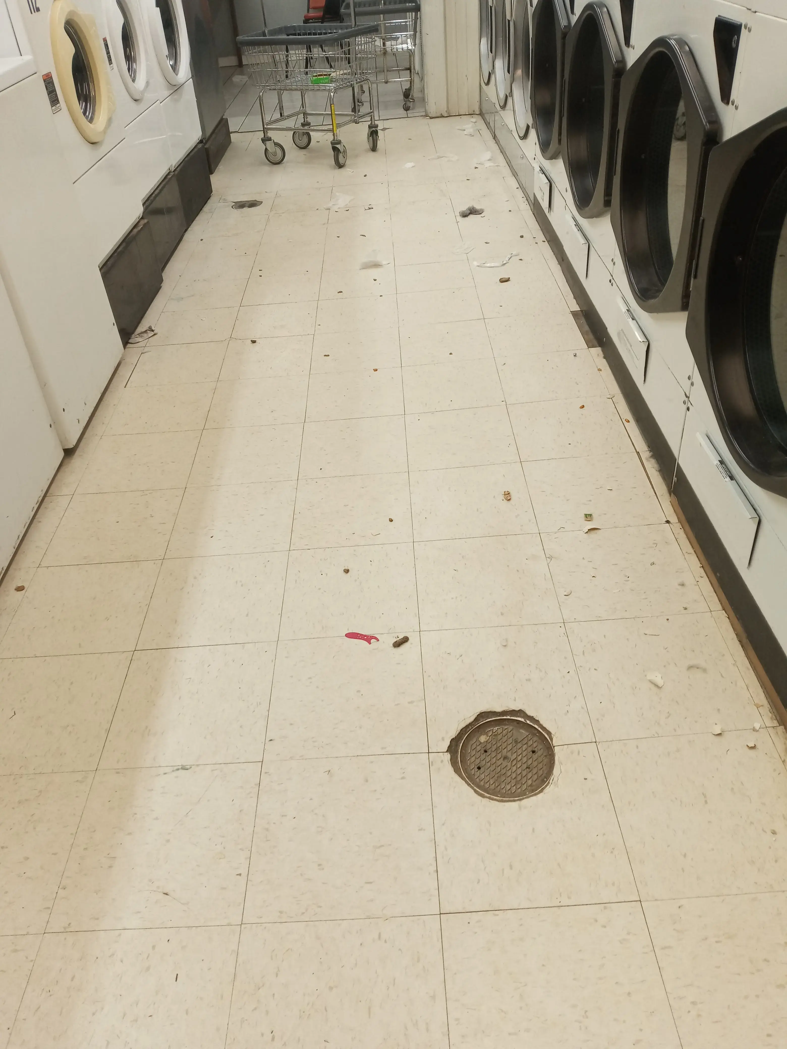 24seven Laundry thumbnail 1