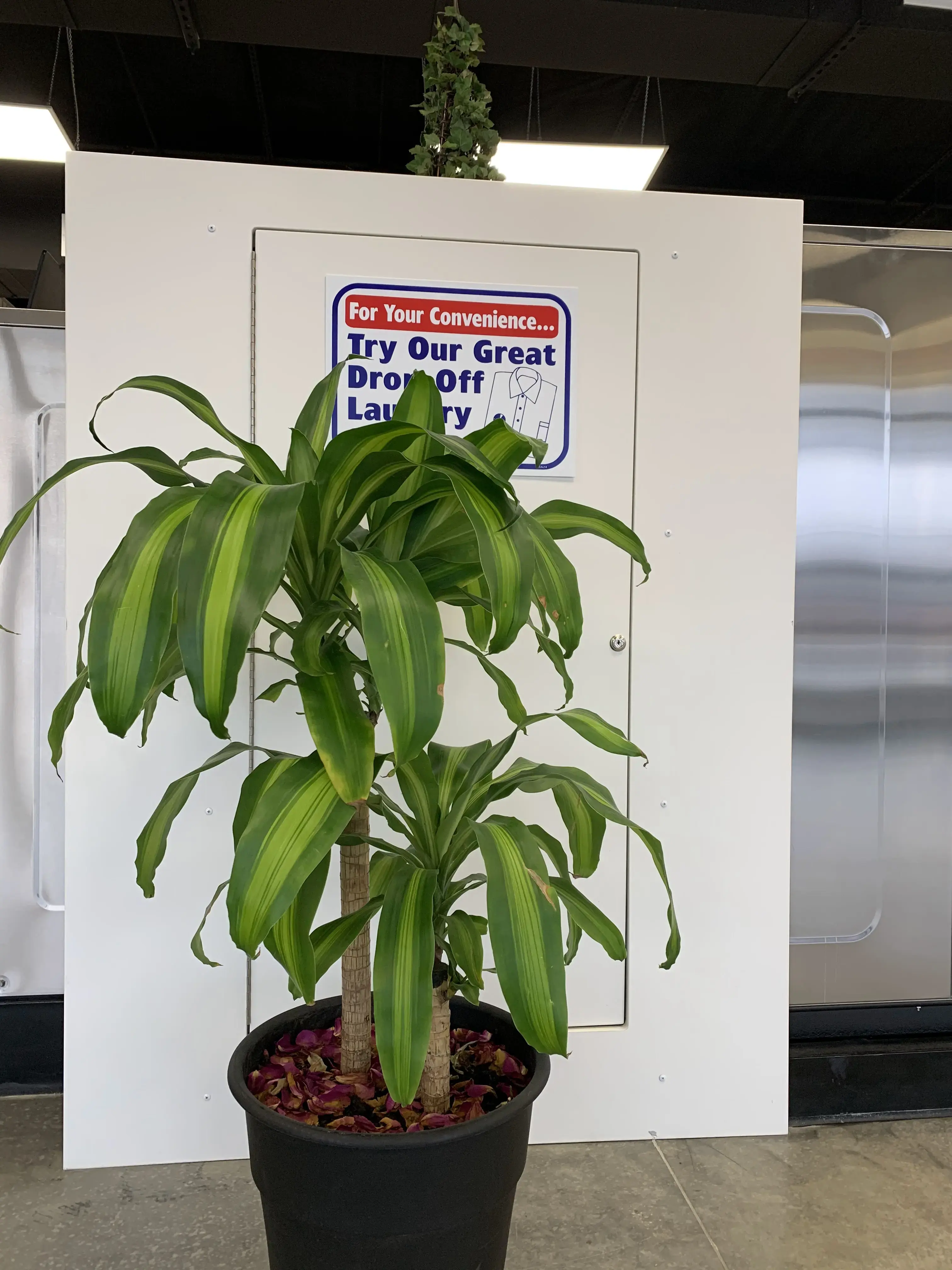 27th Oasis Laundromat - Image 14