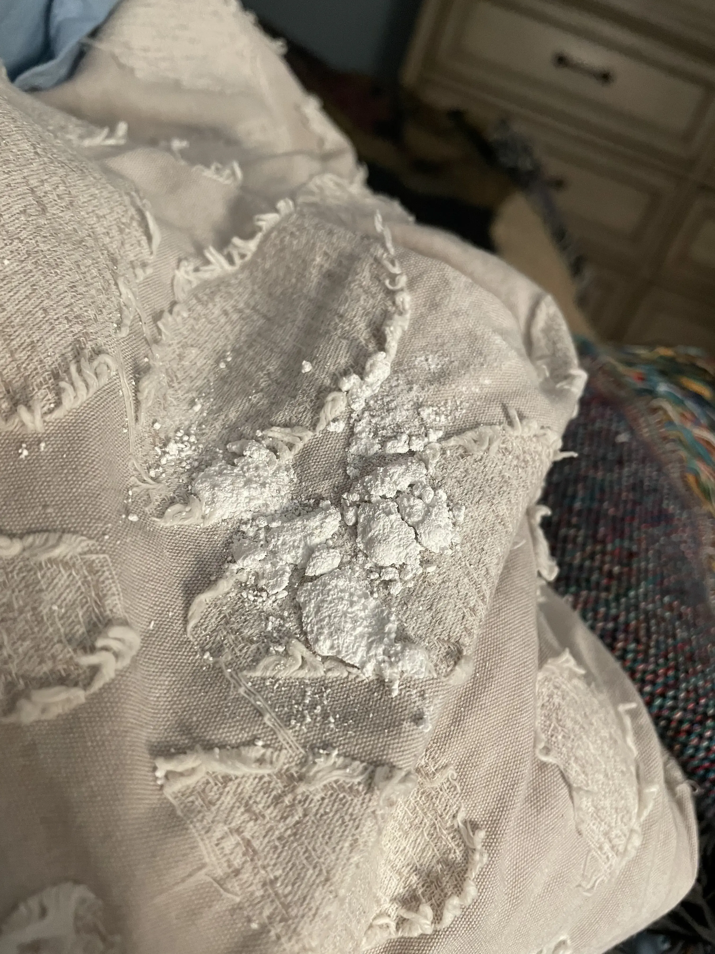 $3.69 Pressed Cleaners thumbnail 8