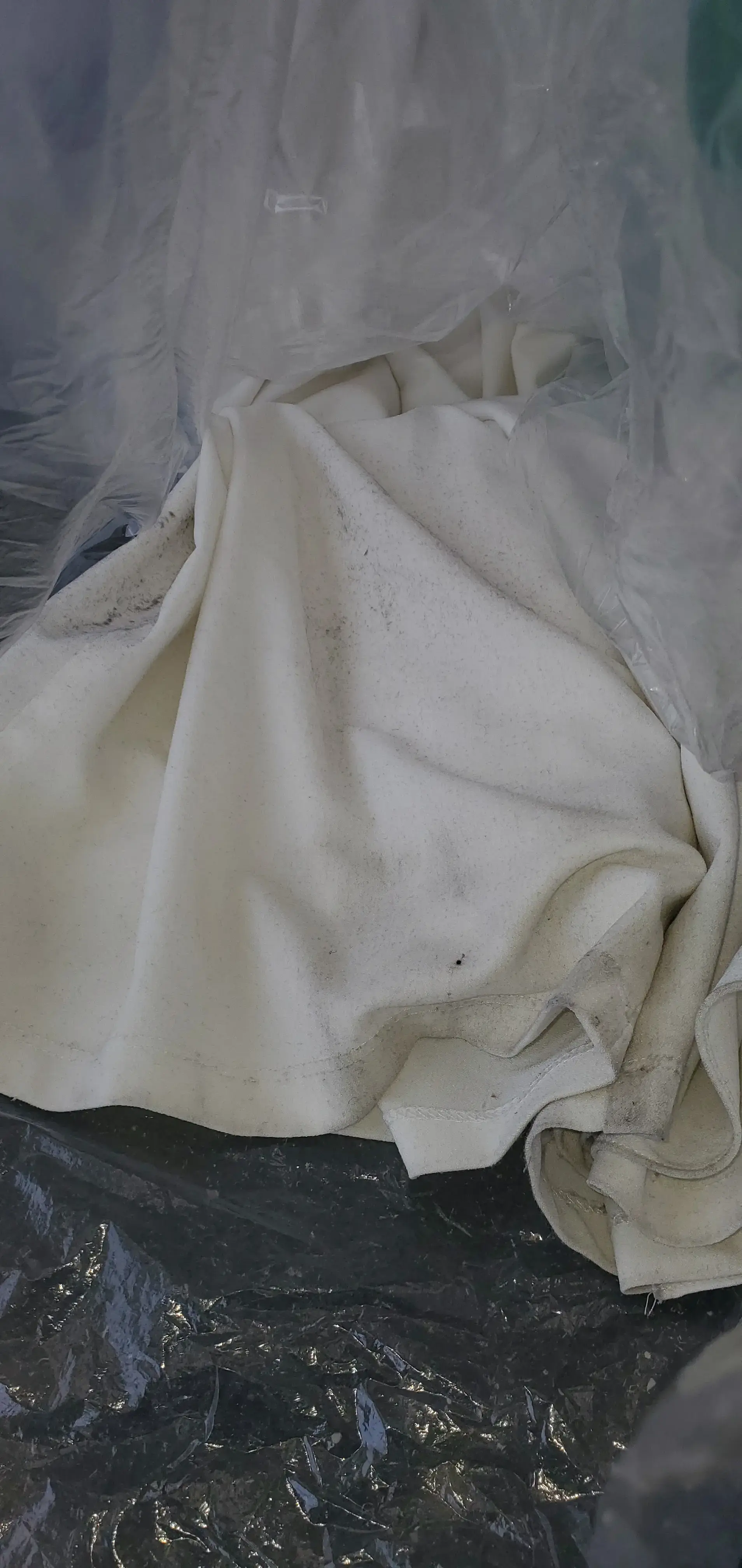 $3.69 Pressed Cleaners thumbnail 9