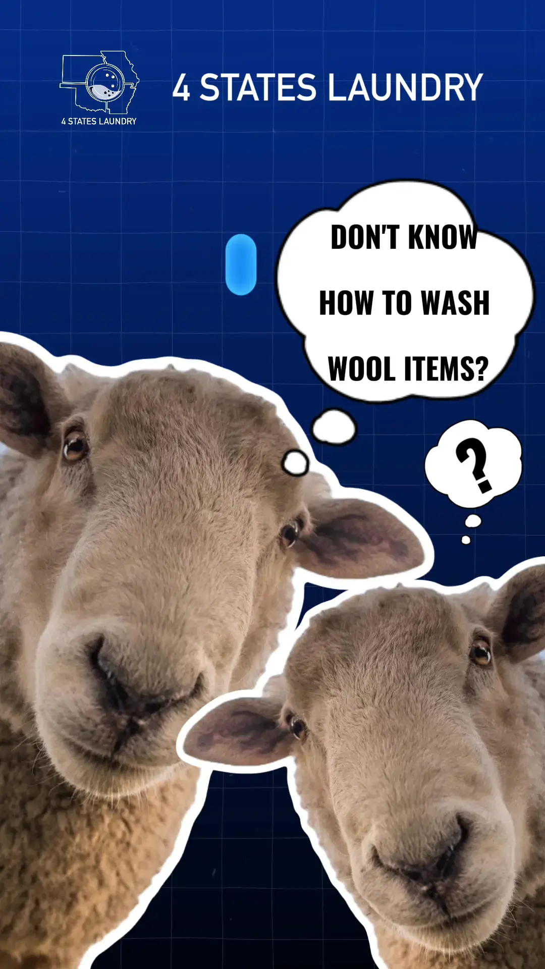 4 States Laundry Inc thumbnail 13