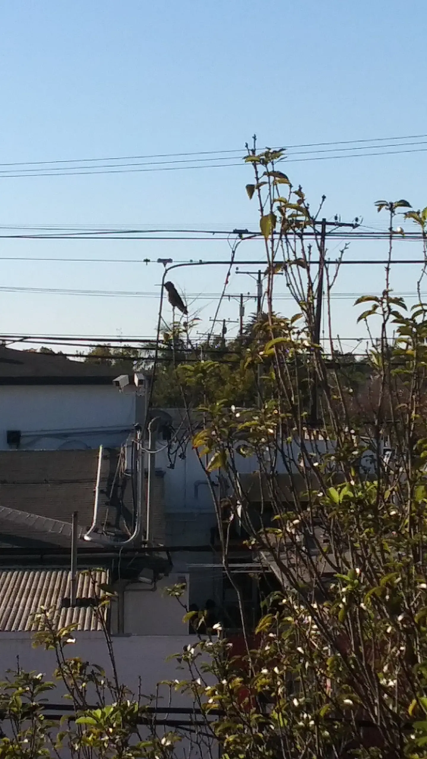 4th & Temple Laundromat thumbnail 11