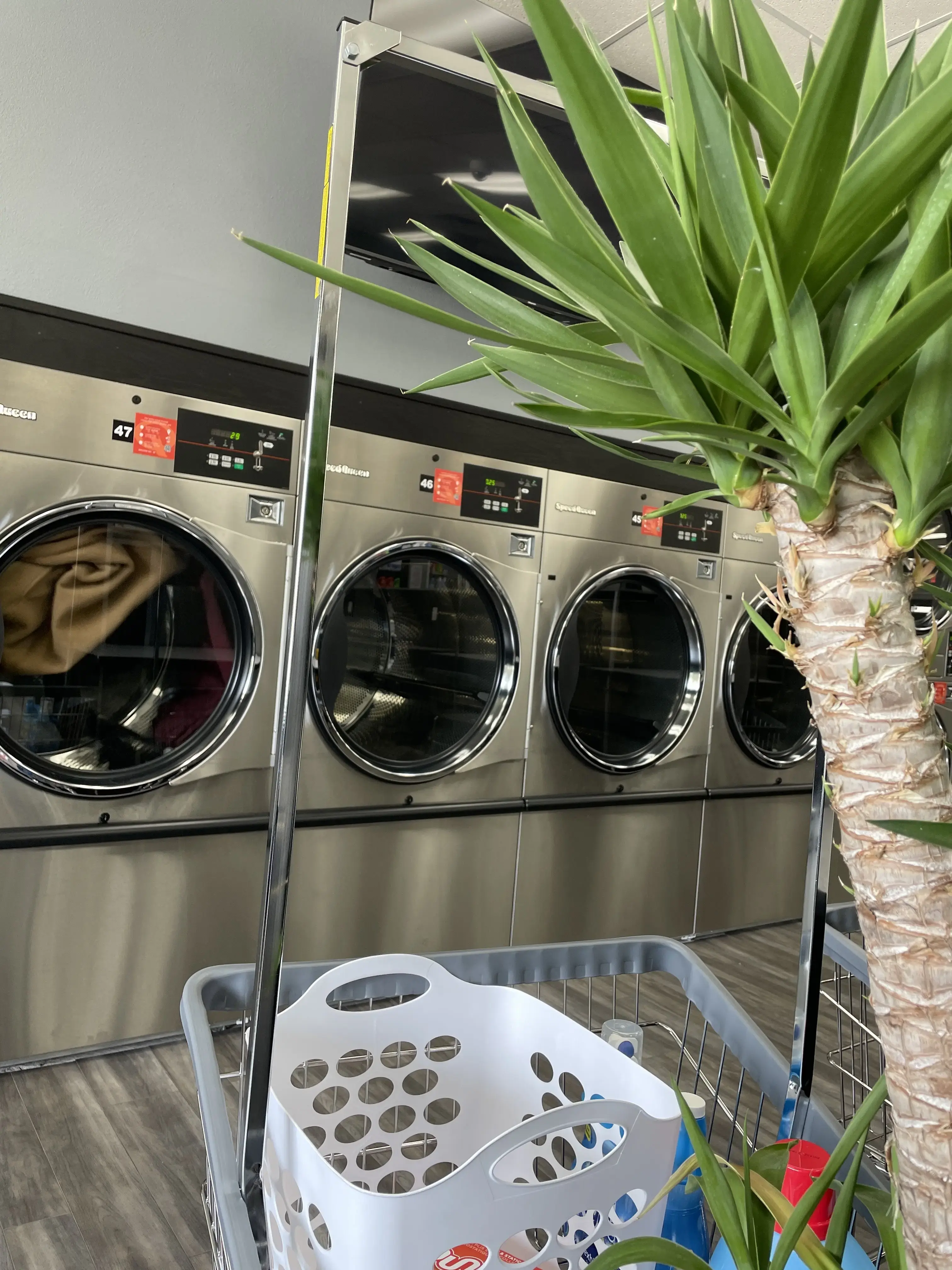 5 Alarm Coin Laundry thumbnail 5