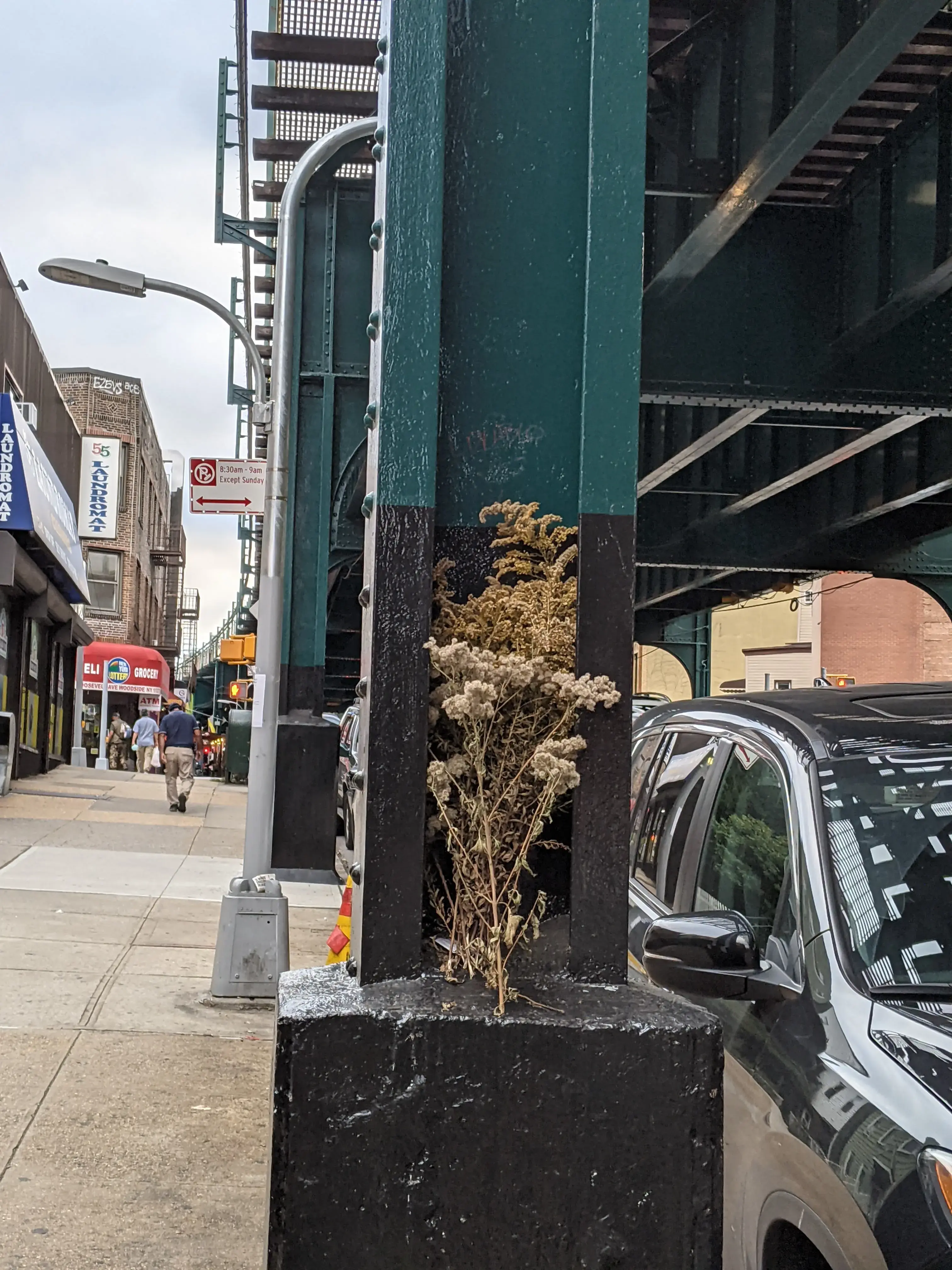 55 Roosevelt Laundromat thumbnail 13