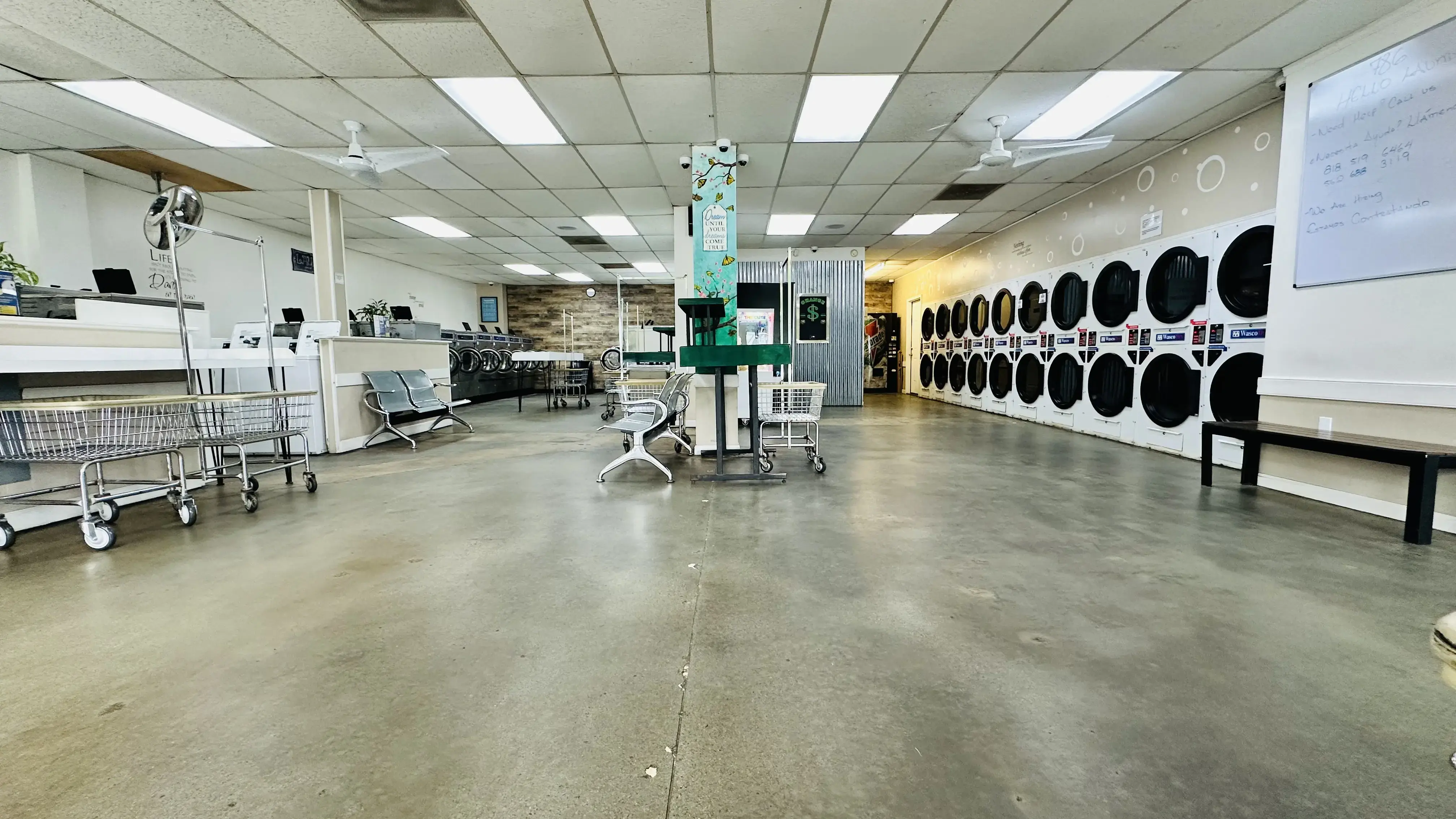 786 Hello Laundry - Image 3