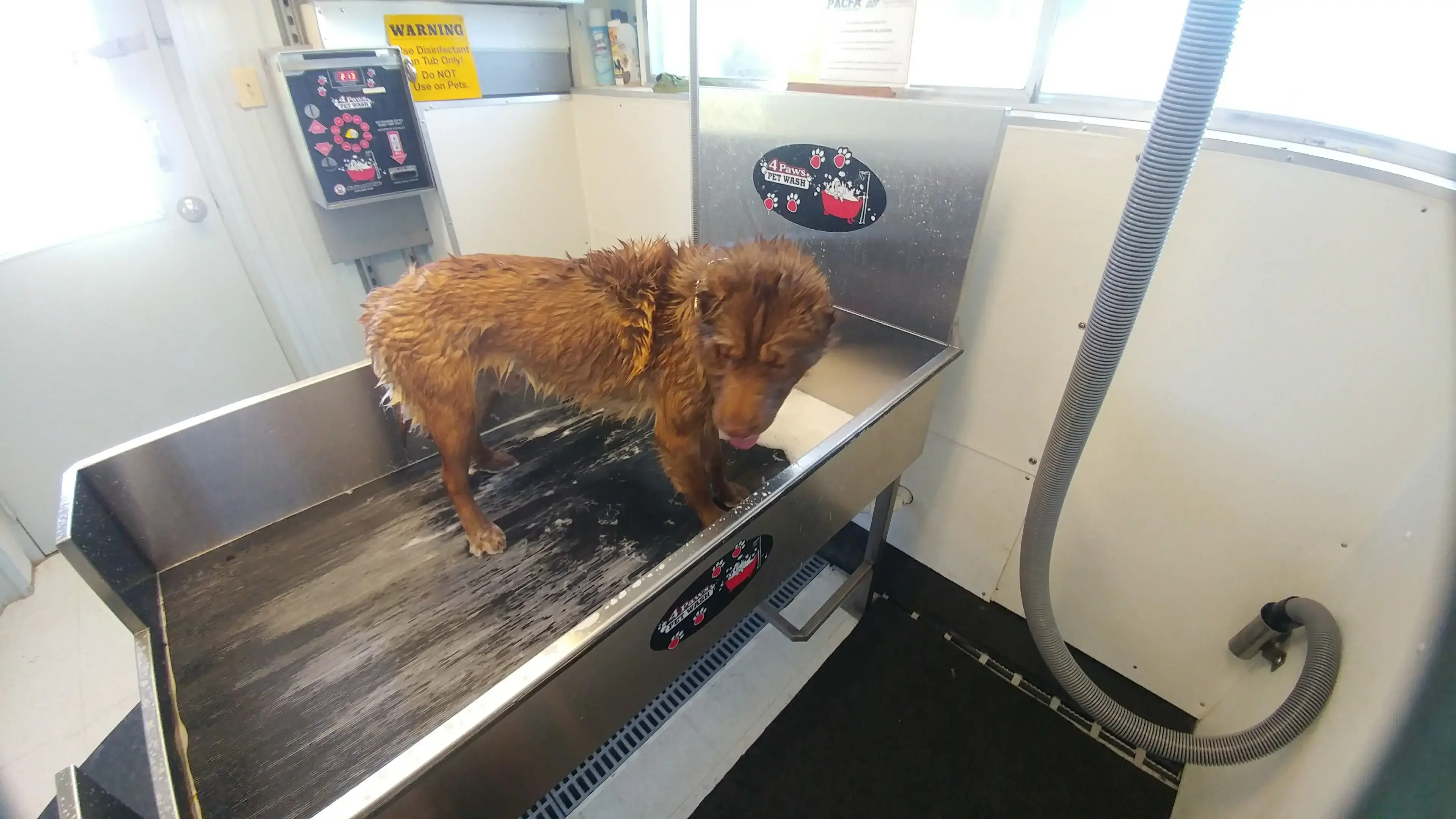 A-1 Laundromat, Pet Wash & Valet Laundry Service thumbnail 1