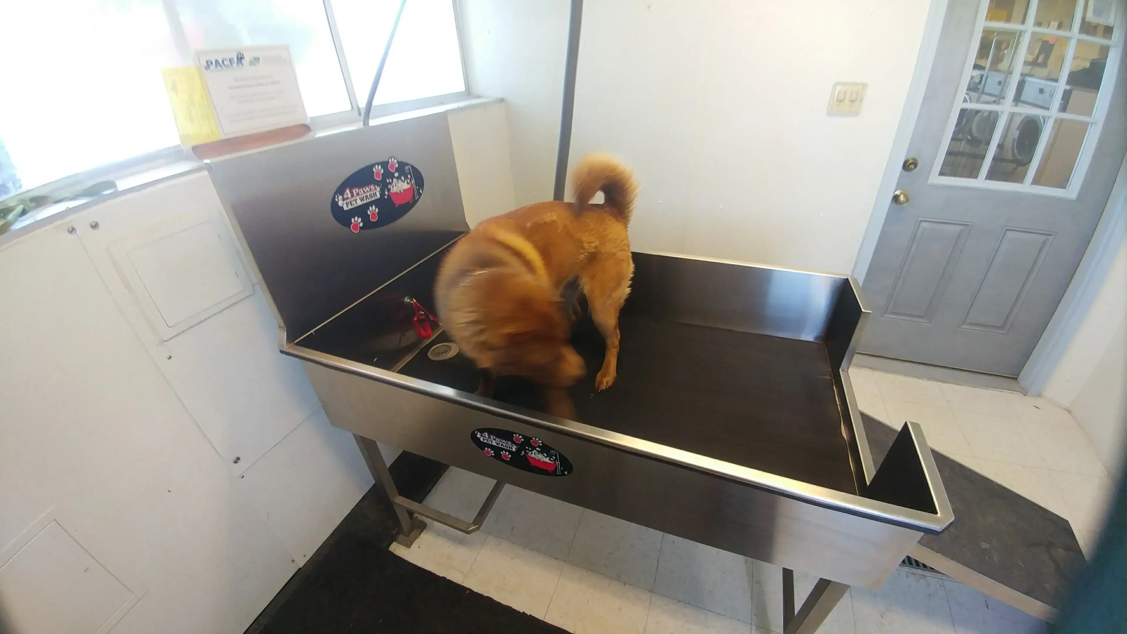 A-1 Laundromat, Pet Wash & Valet Laundry Service - Image 5