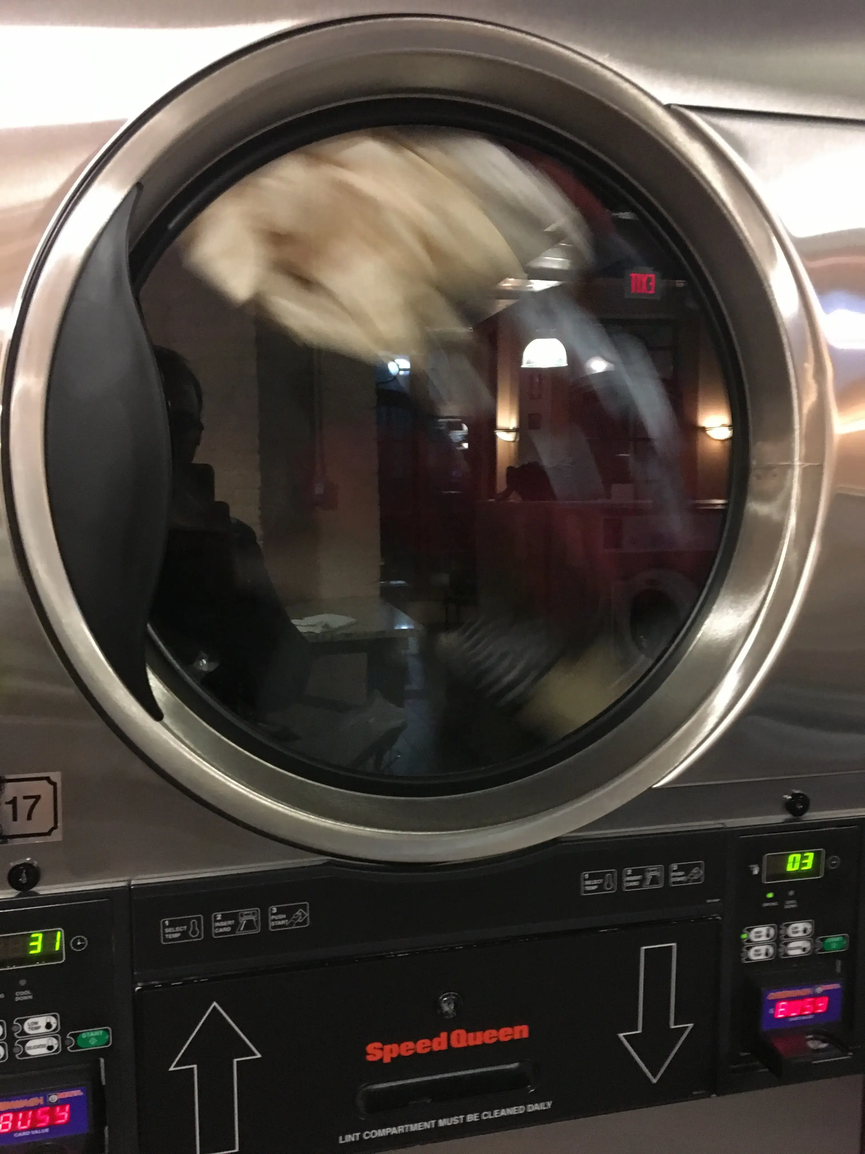 A New Spin Laundry thumbnail 16