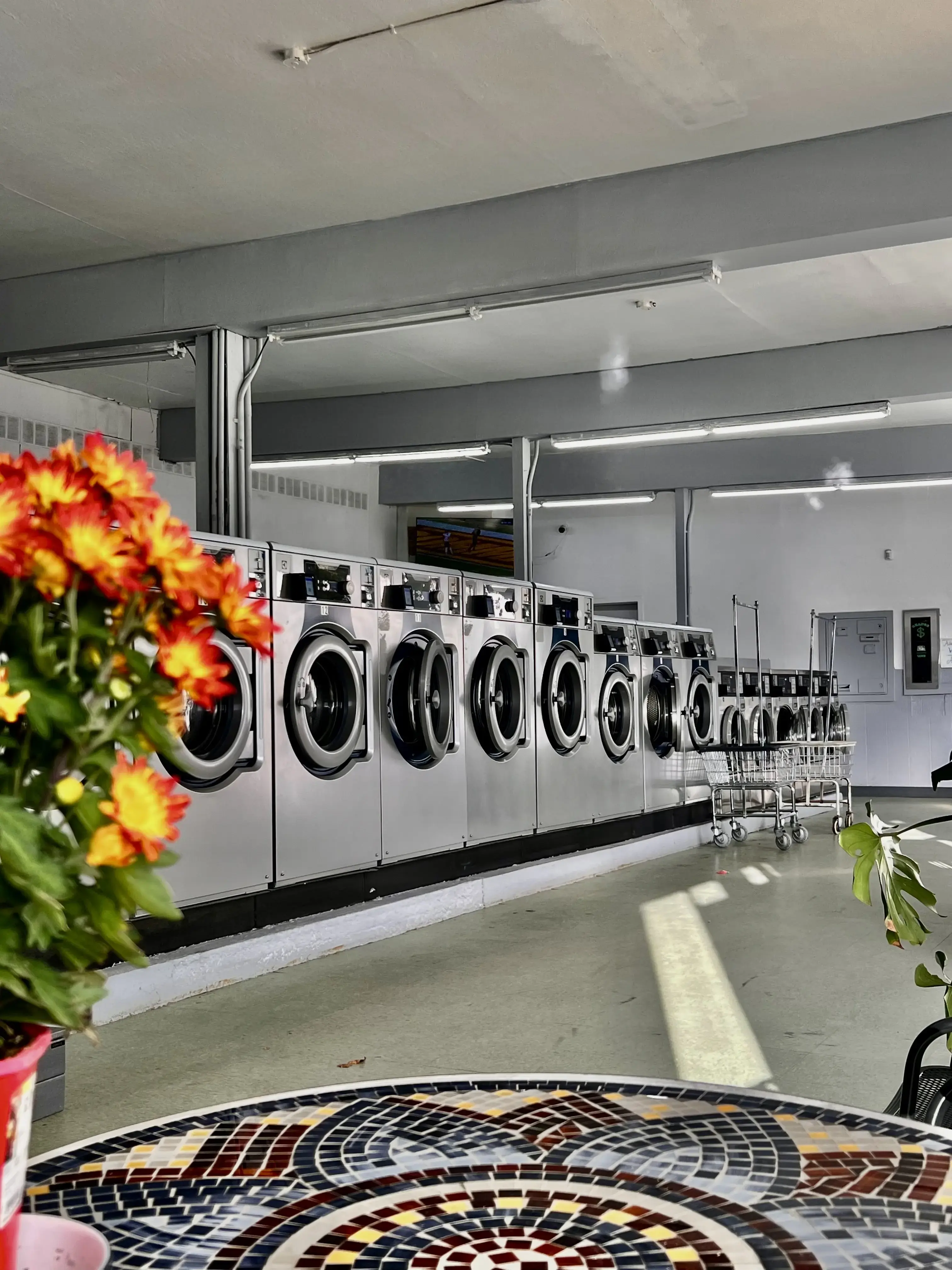 Adeline Wash and Fold - Image 14