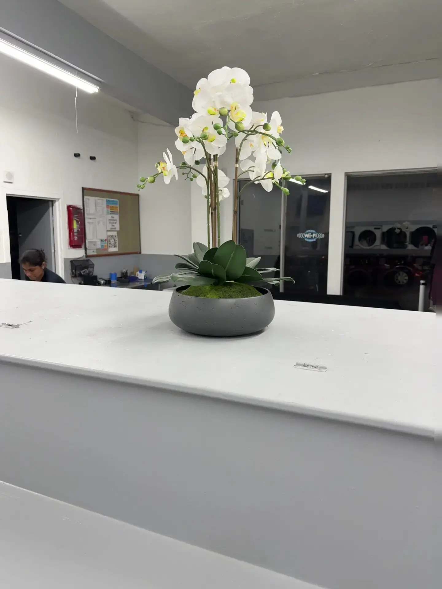 Adeline Wash and Fold thumbnail 4