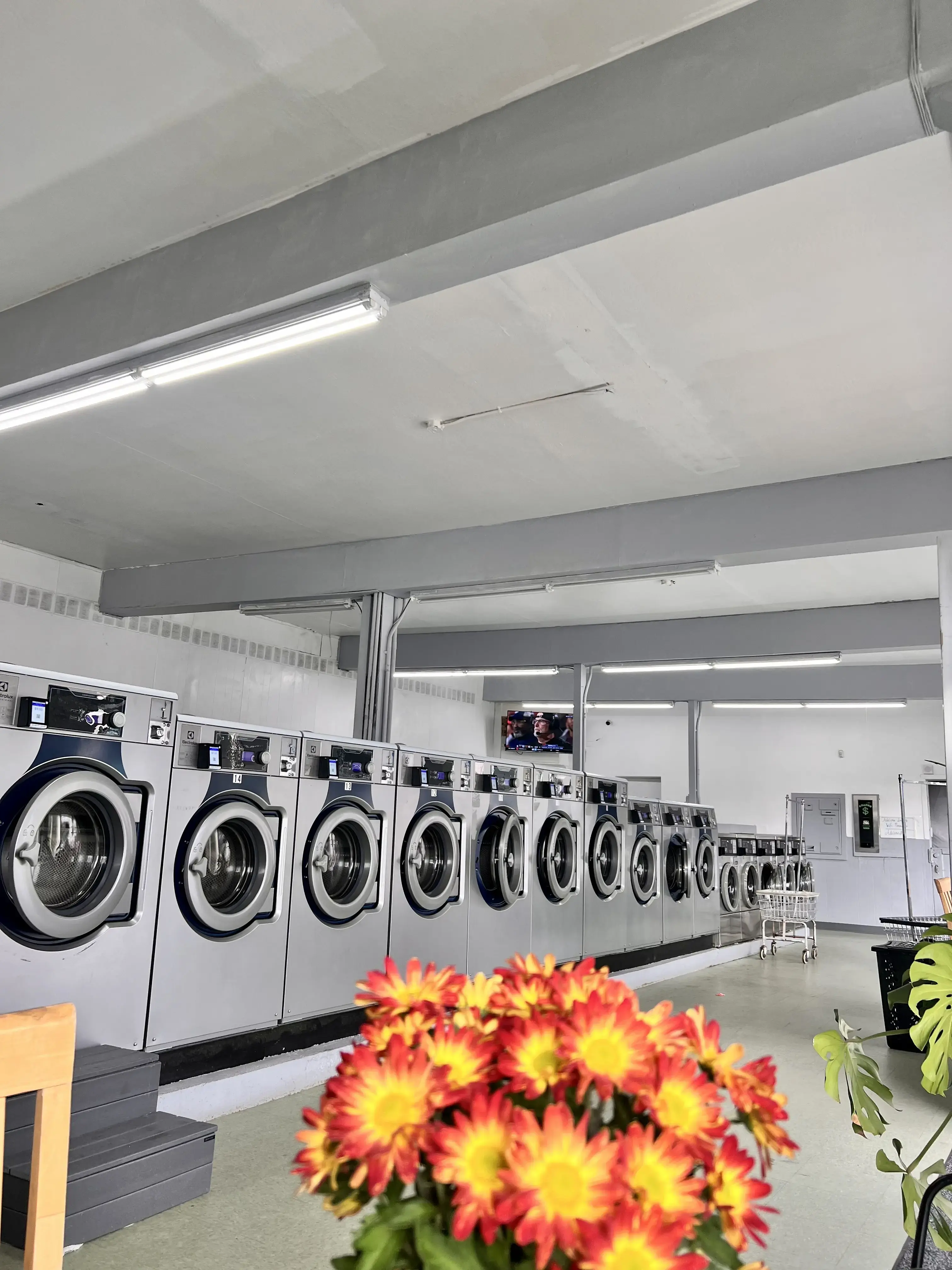 Adeline Wash and Fold - Image 5