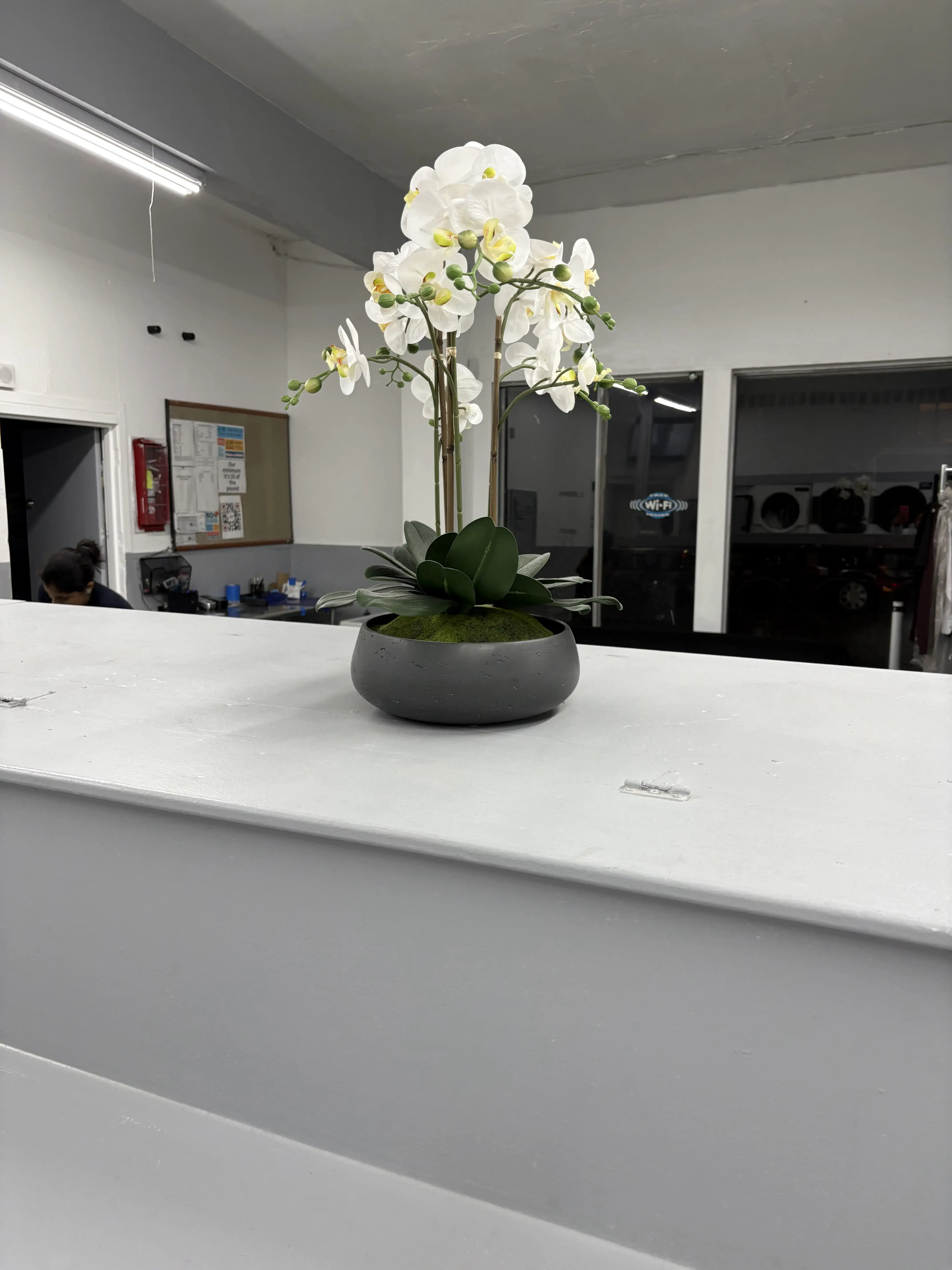 Adeline Wash and Fold thumbnail 6