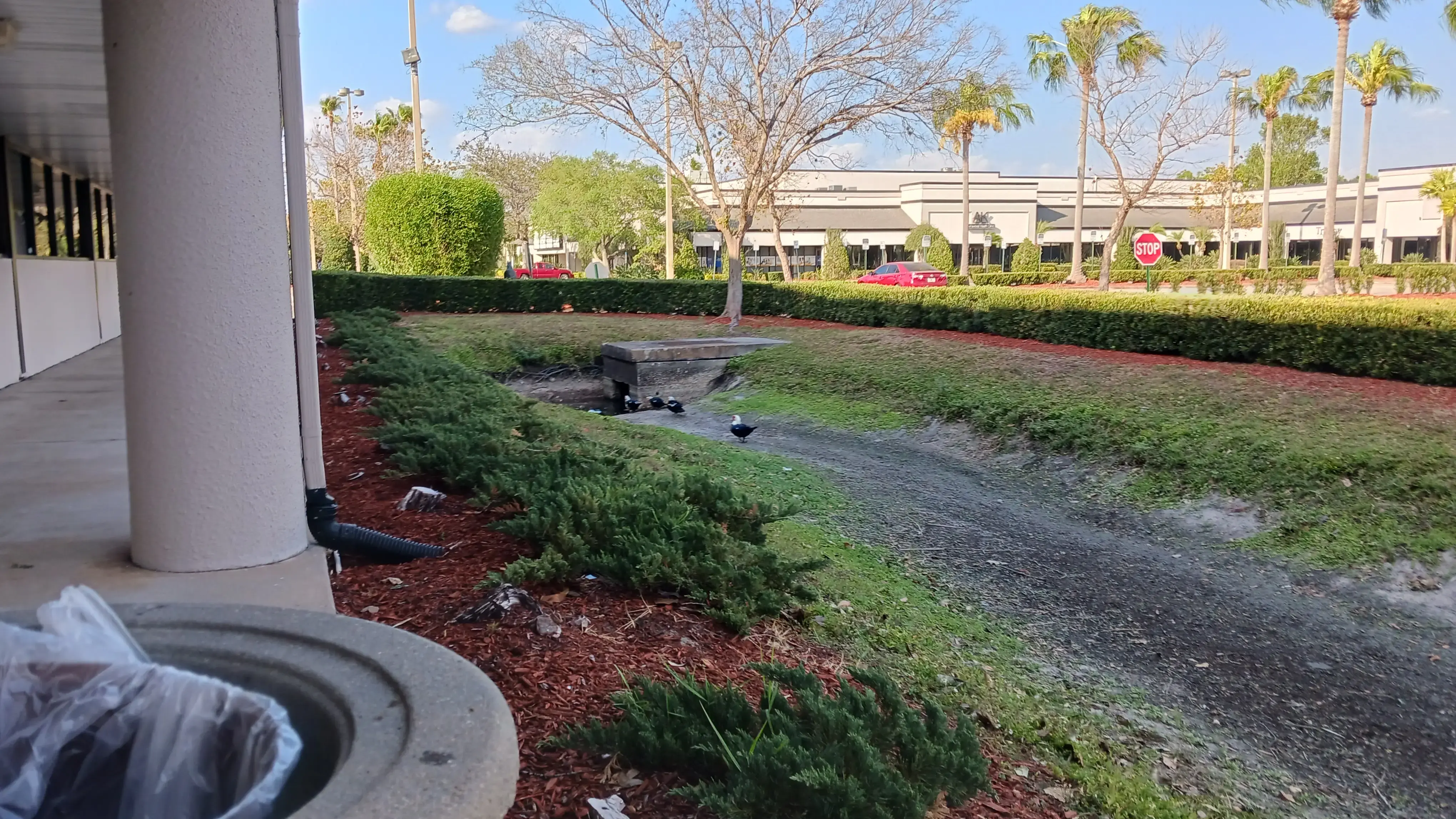 Advance Coin Laundry - Image 9