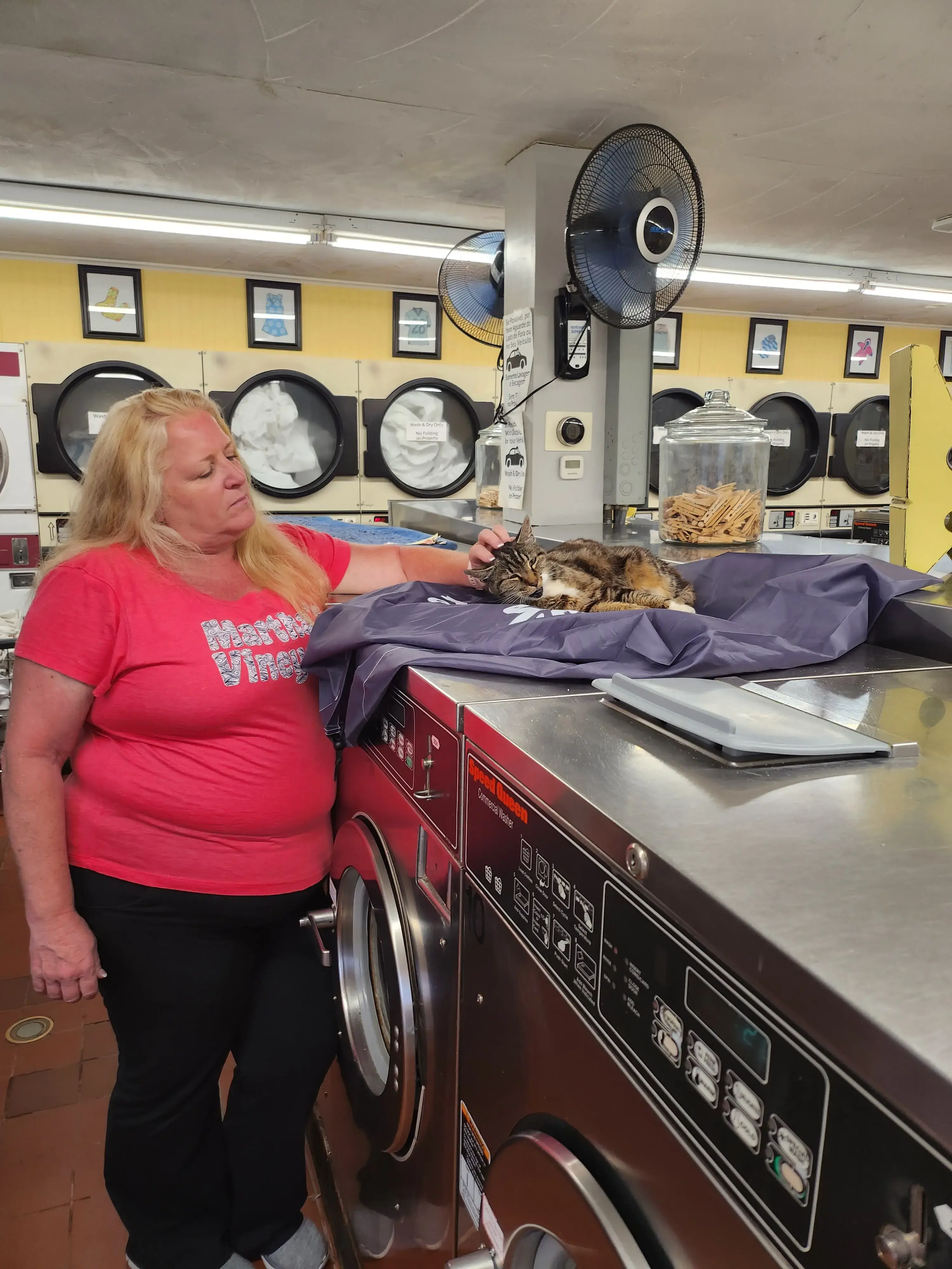 Airport Laundromat, Inc. thumbnail 2