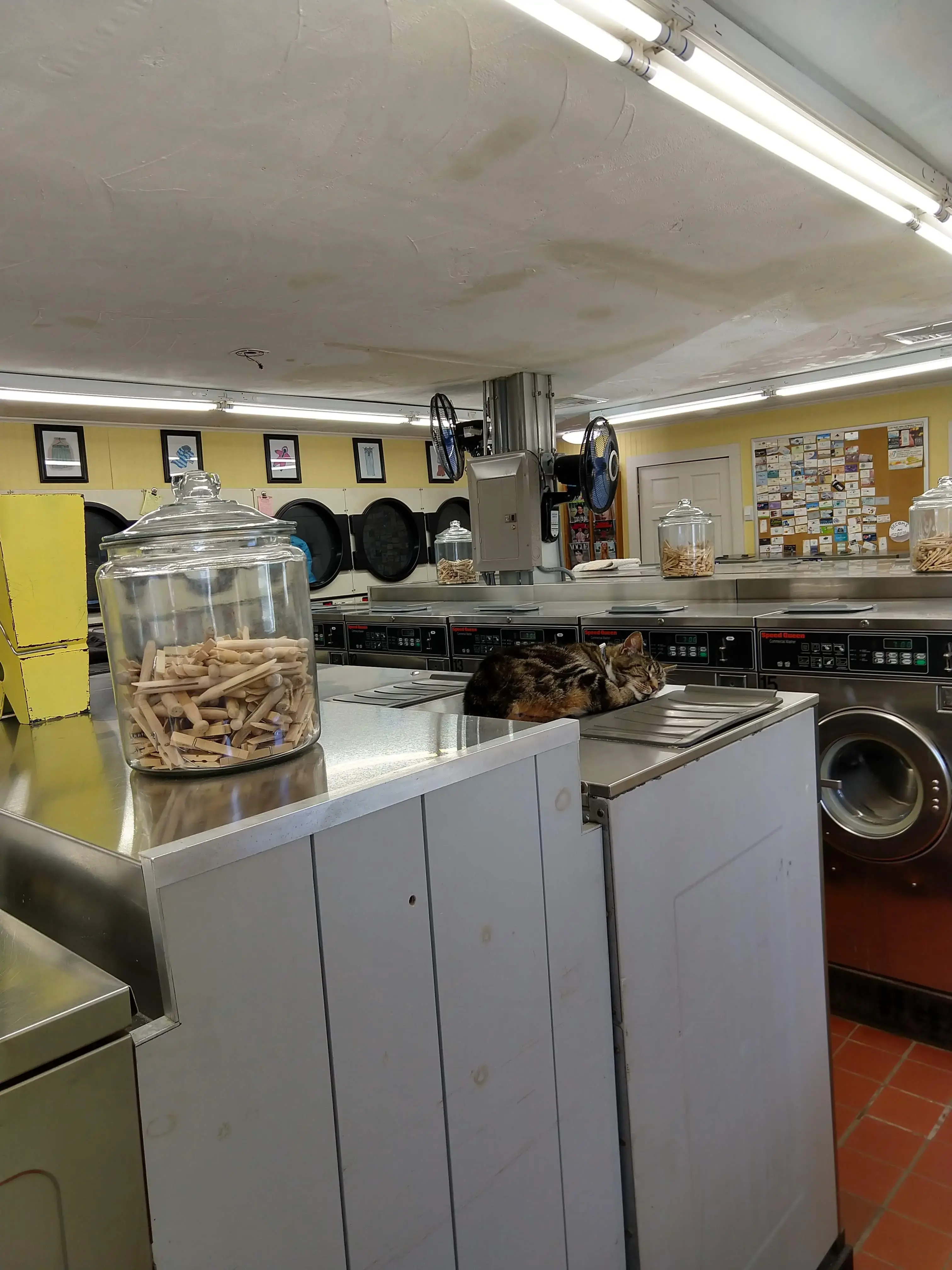 Airport Laundromat, Inc. thumbnail 1