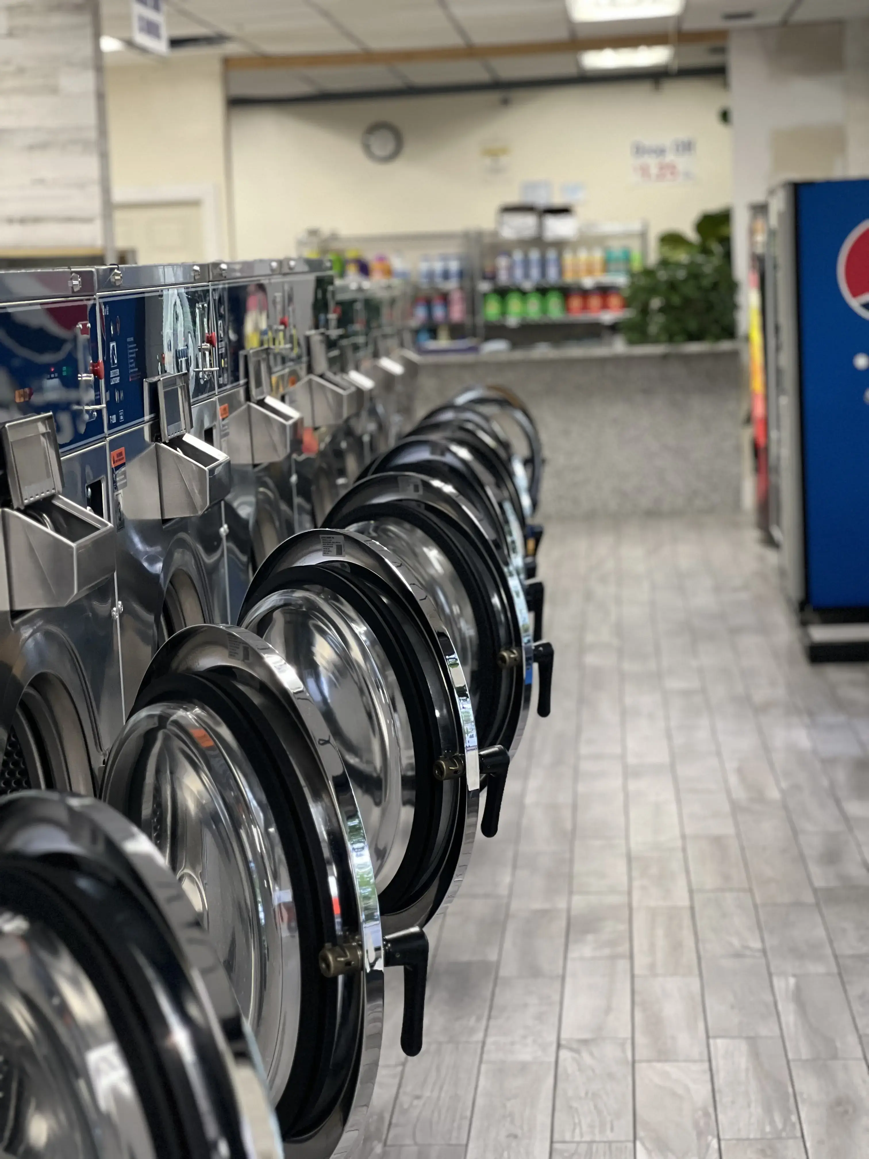 Albany Park Coin Laundry - Image 10