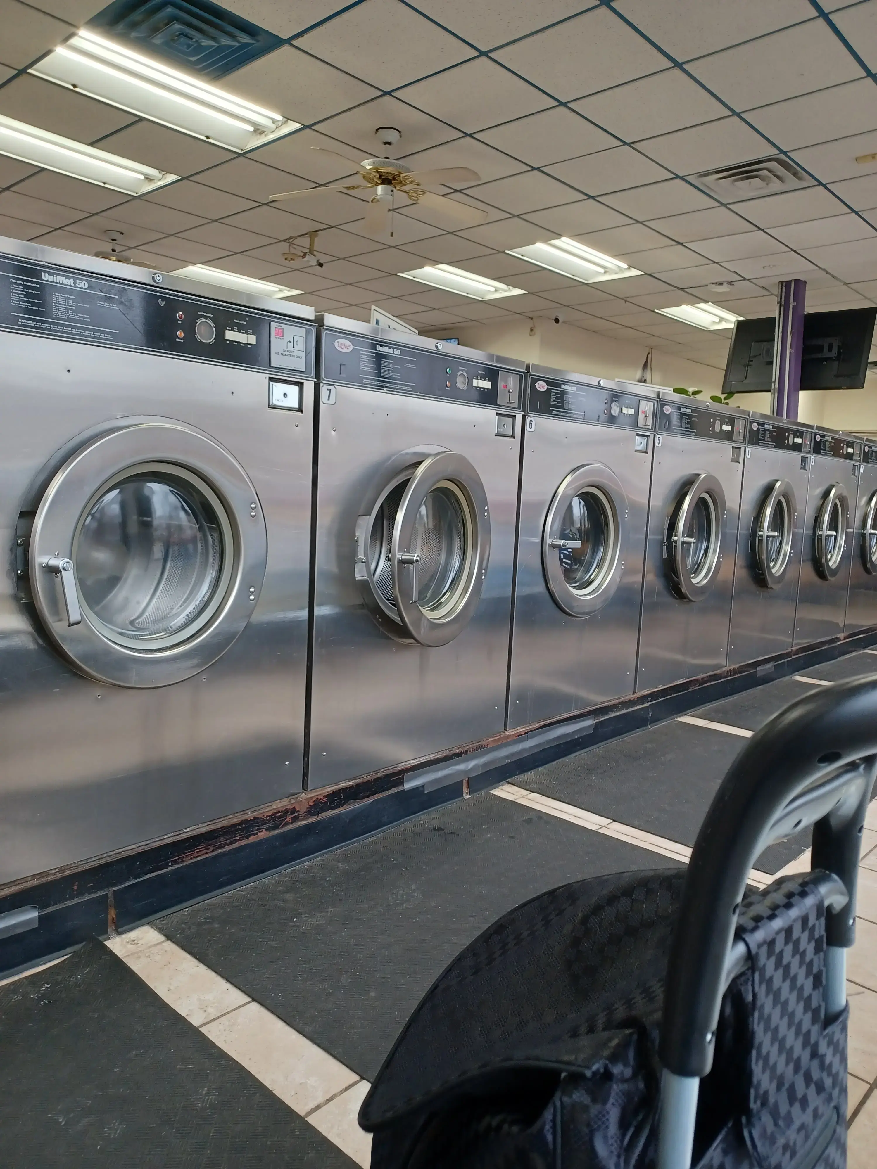 Albany Park Coin Laundry thumbnail 14