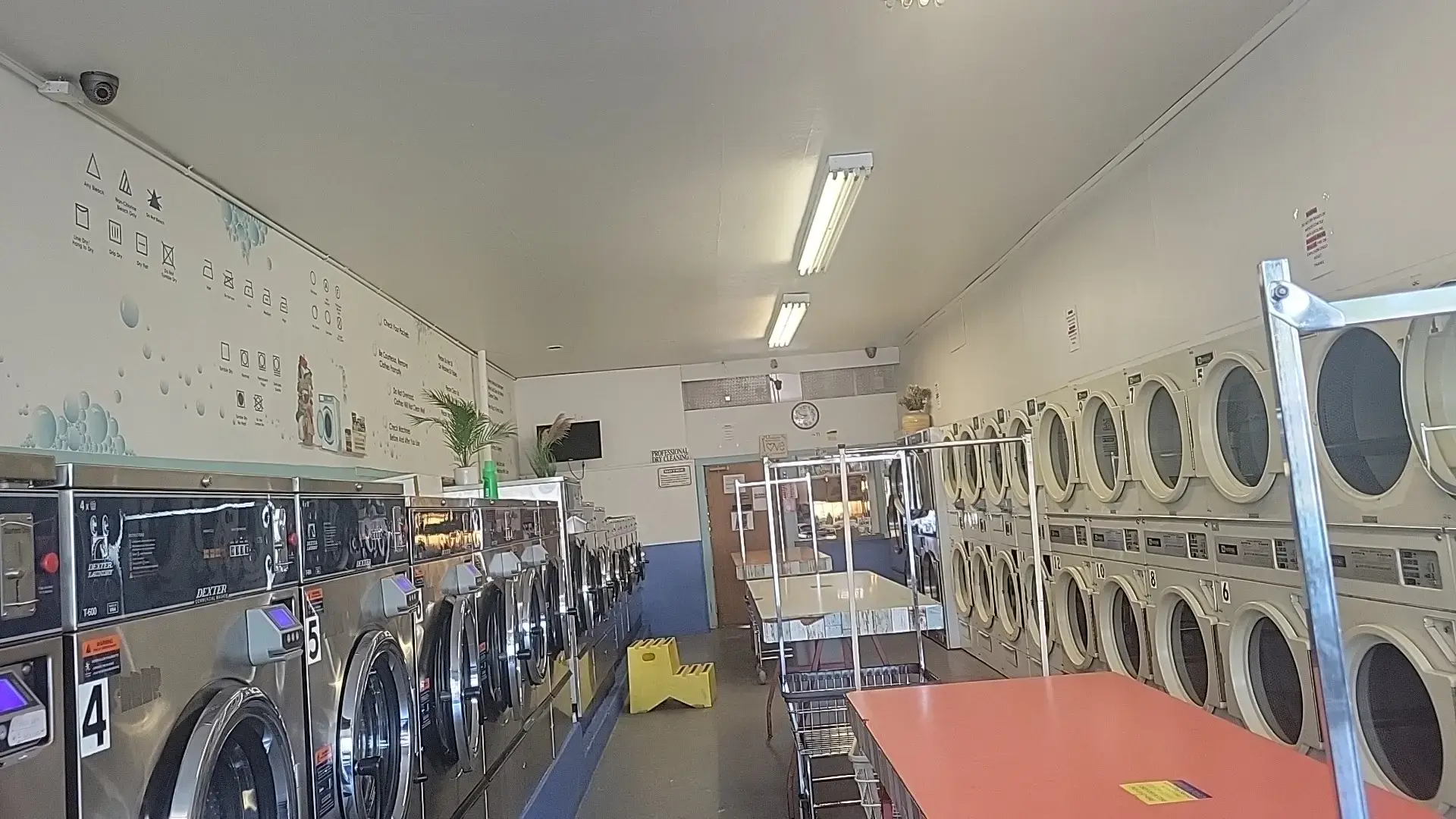 Albany Washing Well - Image 15