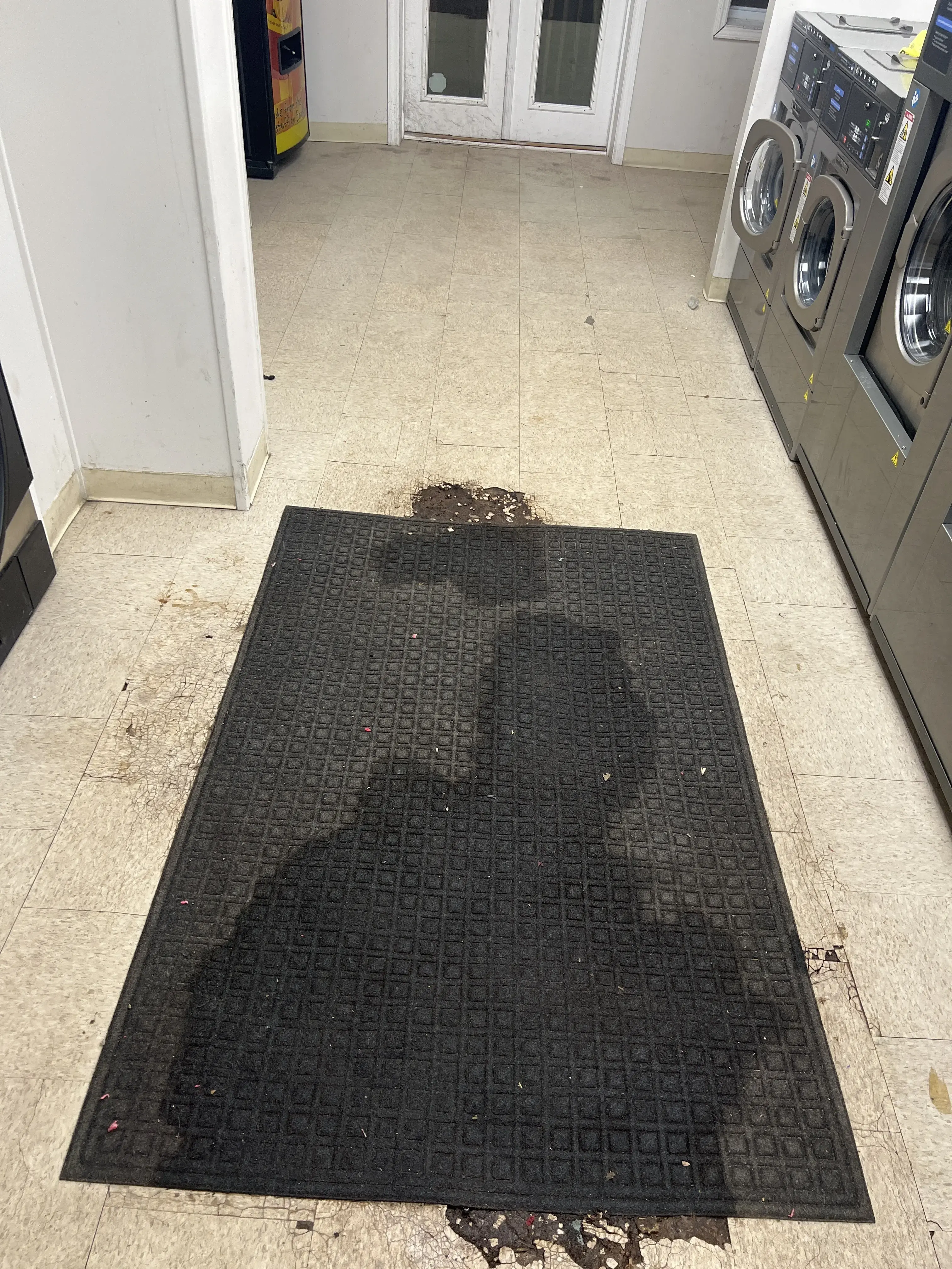 AlbanySuds Laundromat thumbnail 6