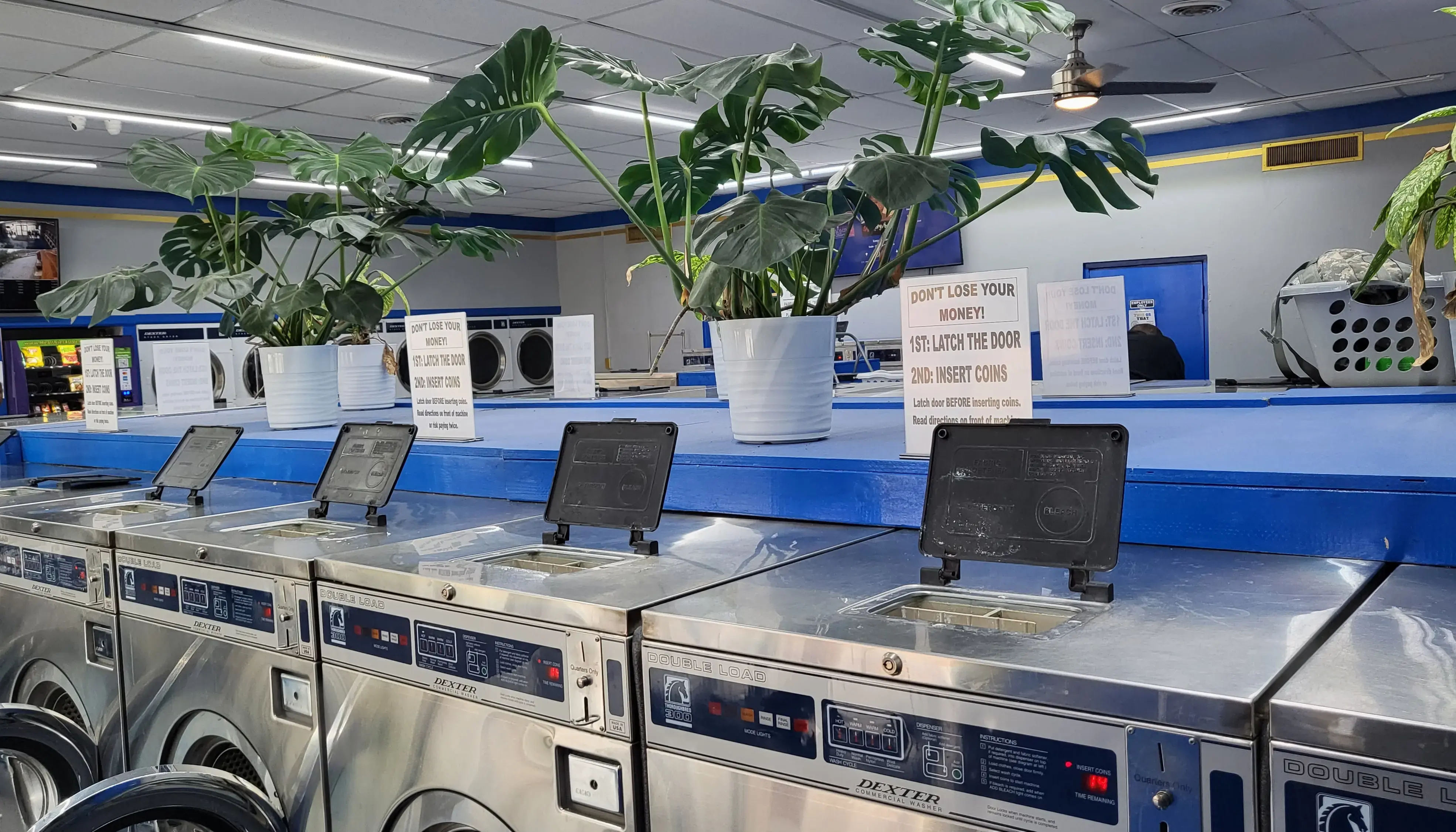 All Clean Laundry of East Point - Image 2