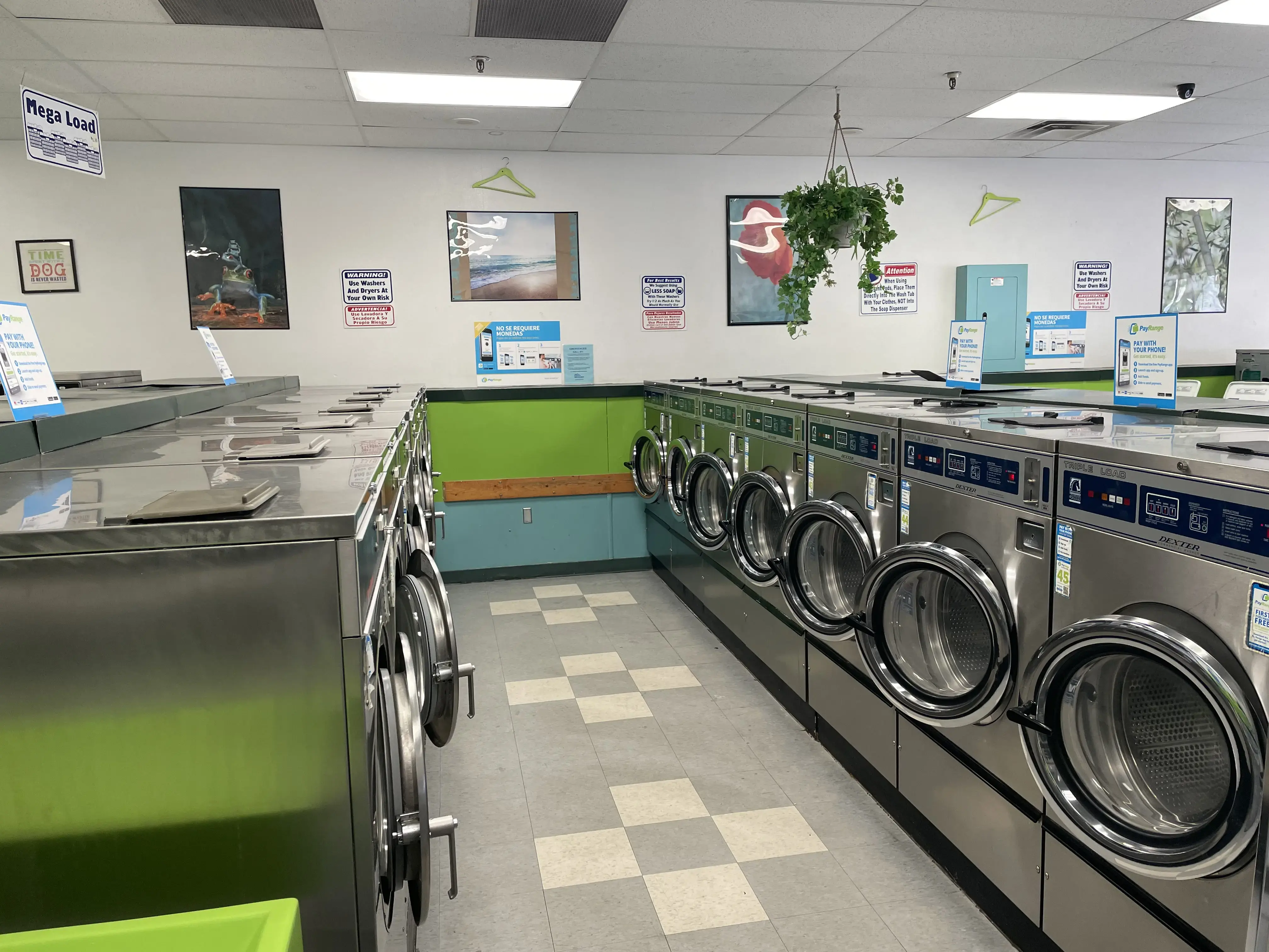 All Washed Laundry - Murray - Image 12