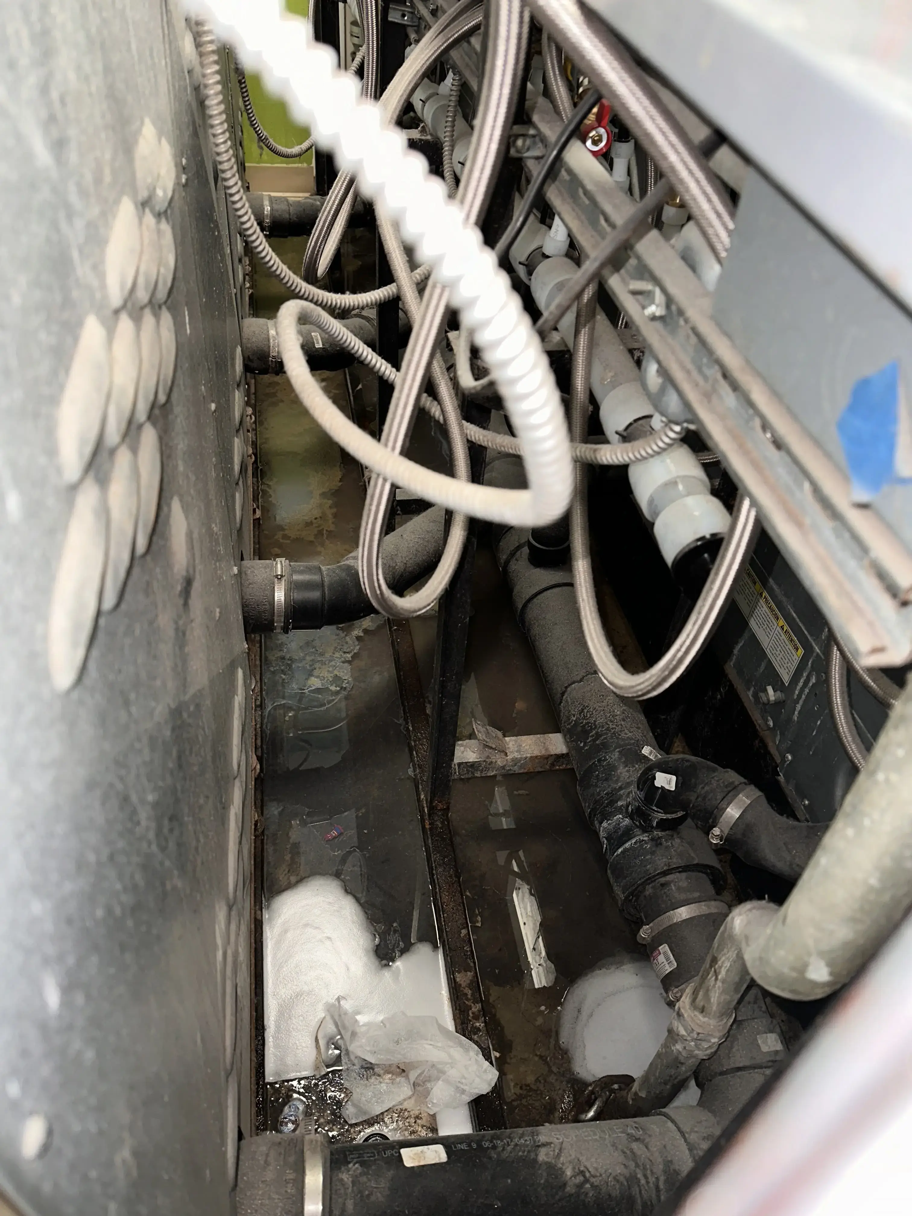 All Washed Laundry - Old Colorado City thumbnail 4