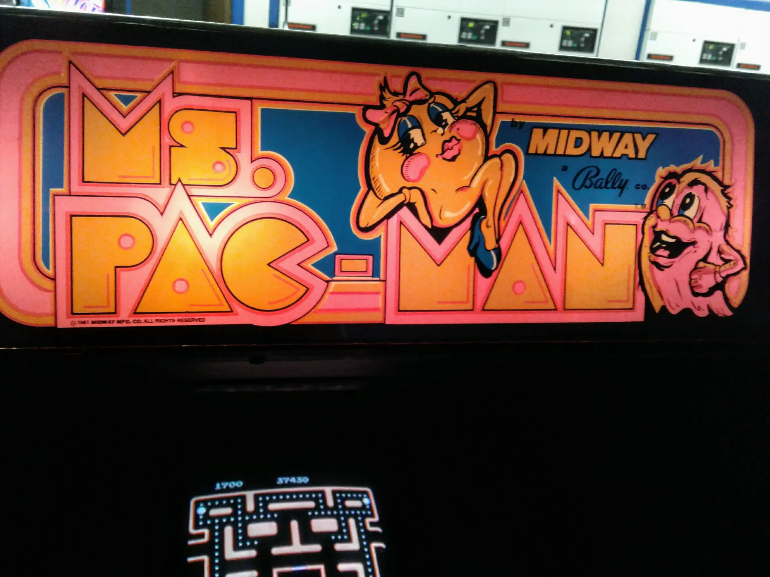 All Washed Laundry - Town & Country - Image 5