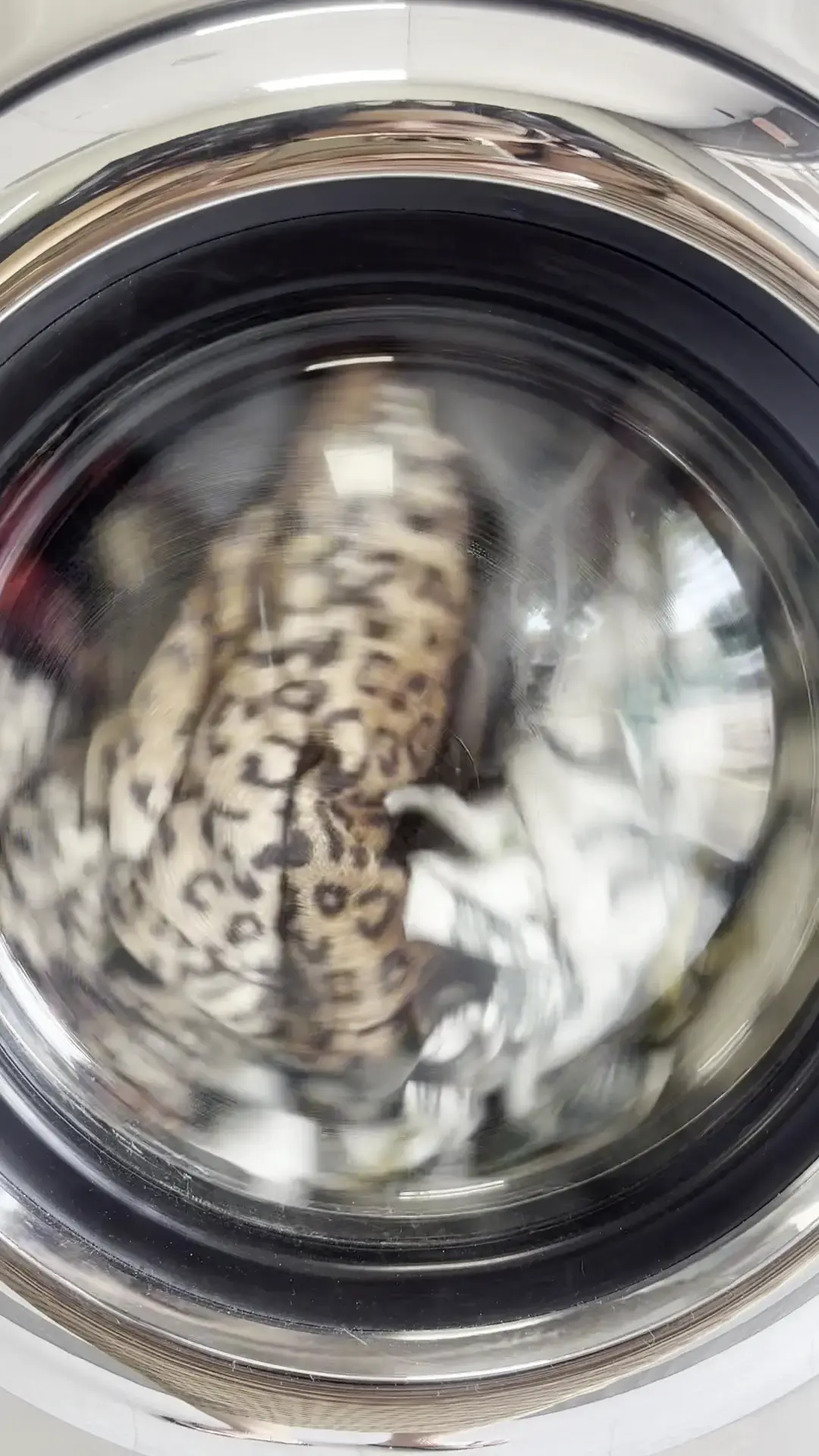 All Washed Laundry - Windchime thumbnail 15