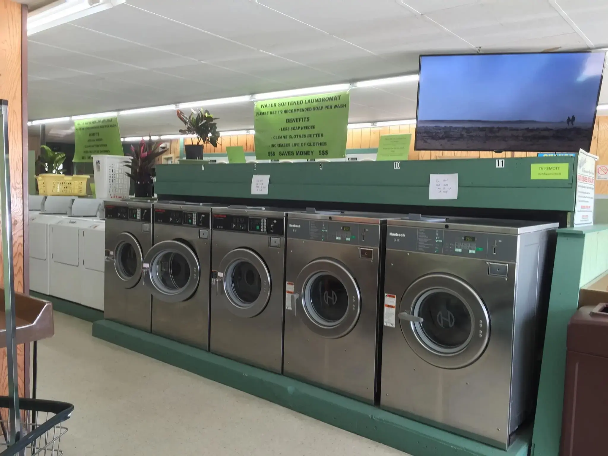 All Washed Up Laundromat - Image 10