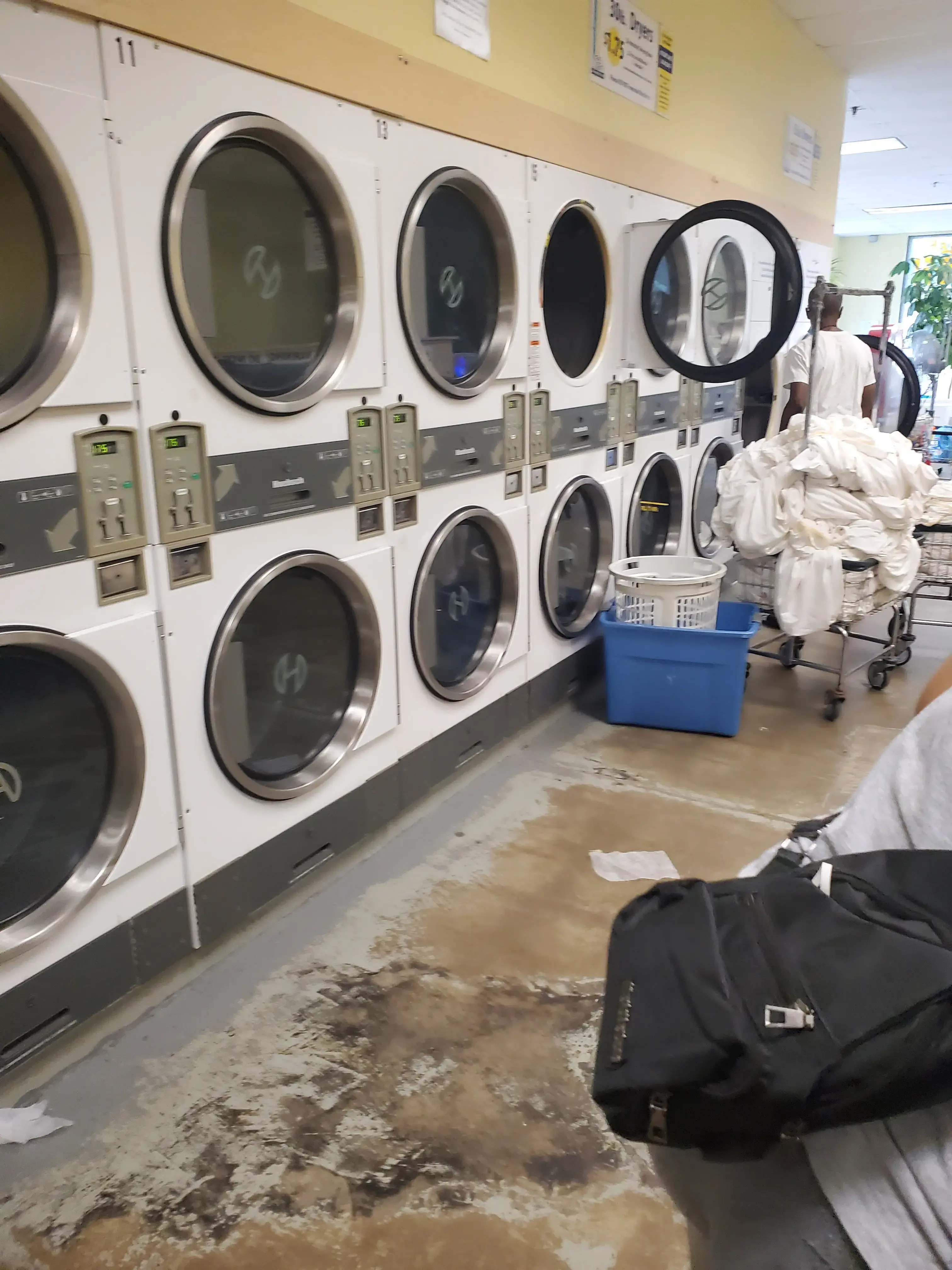 All Washed Up - Image 6