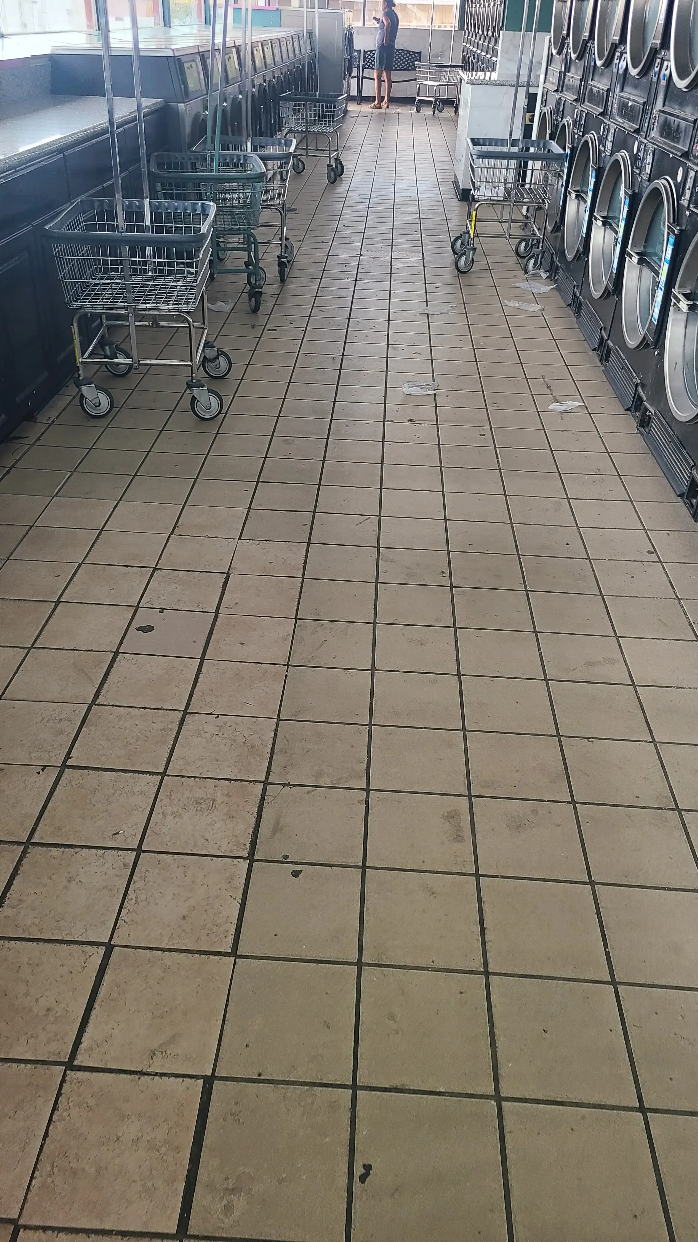 Alma's Thrifty Wash thumbnail 9