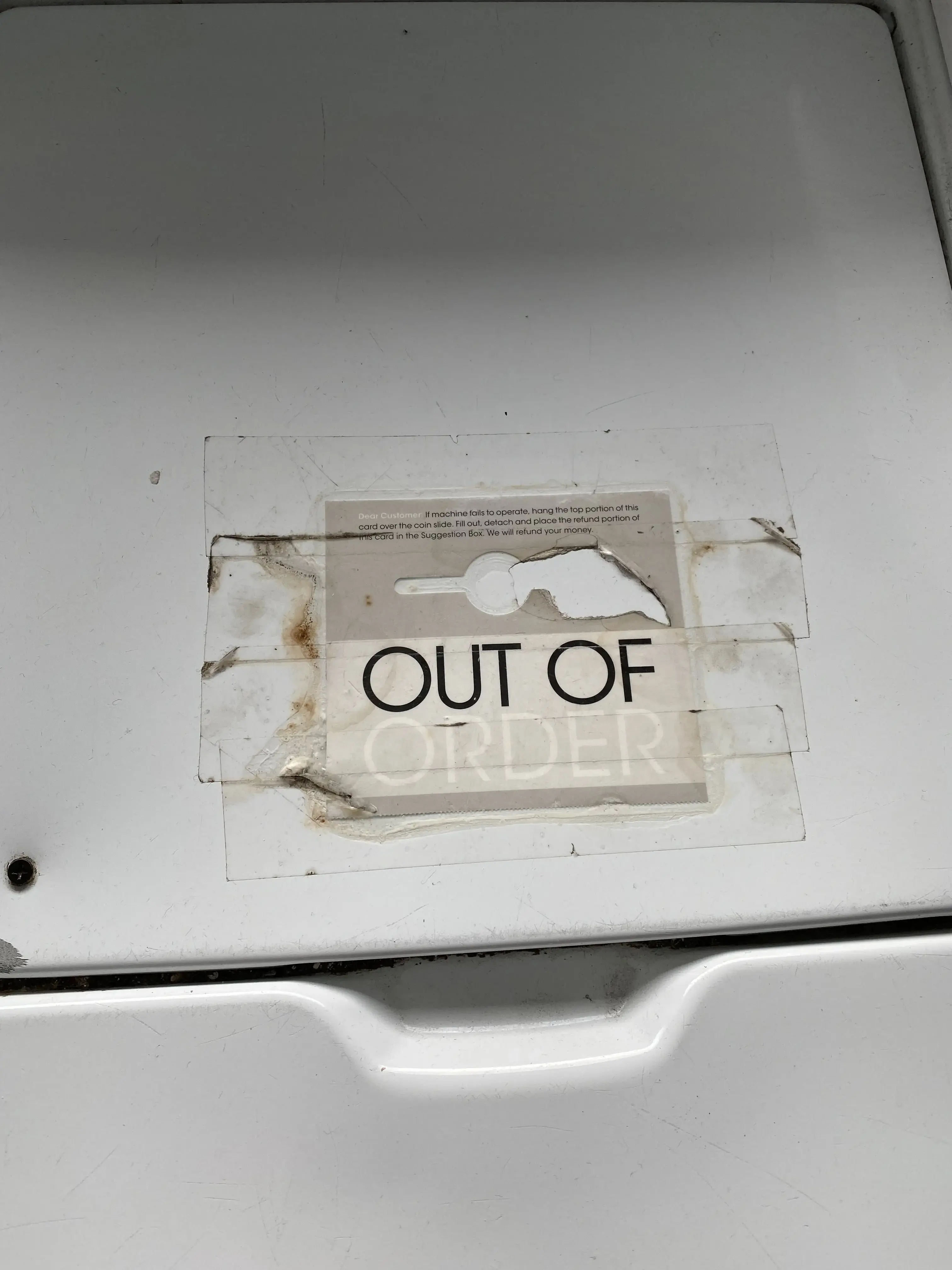 Alma's Thrifty Wash thumbnail 16