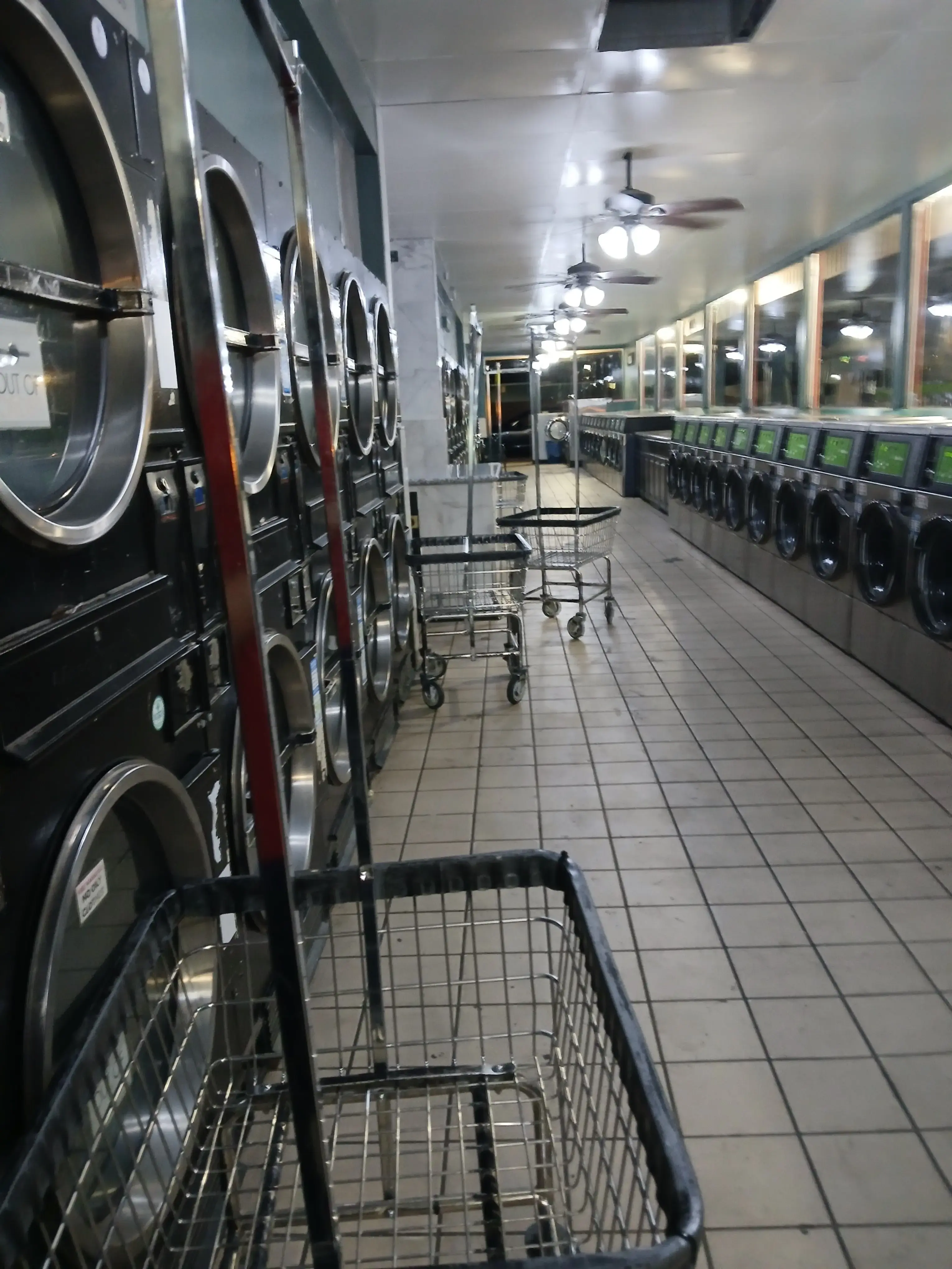 Alma's Thrifty Wash thumbnail 17