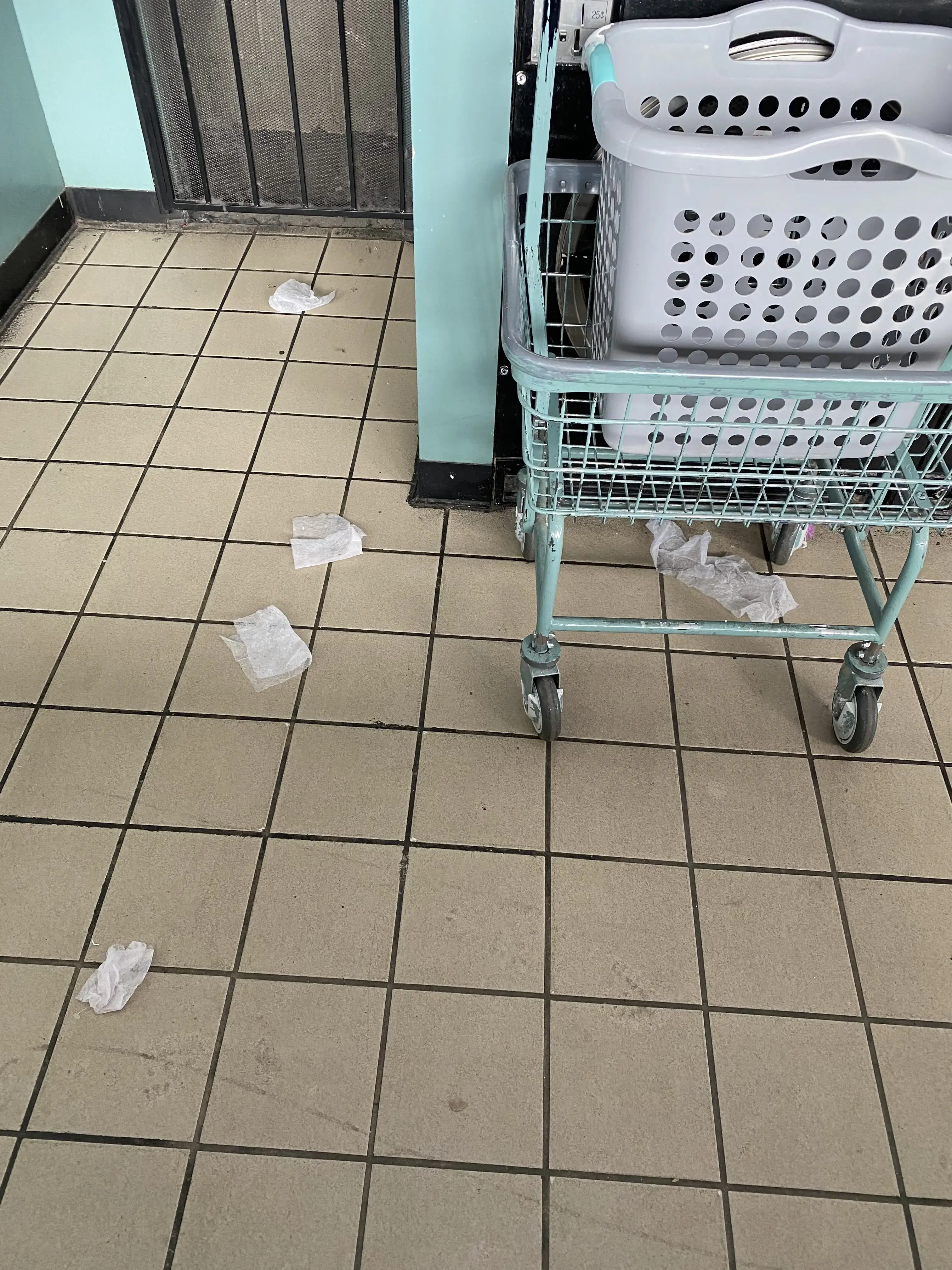 Alma's Thrifty Wash - Image 12