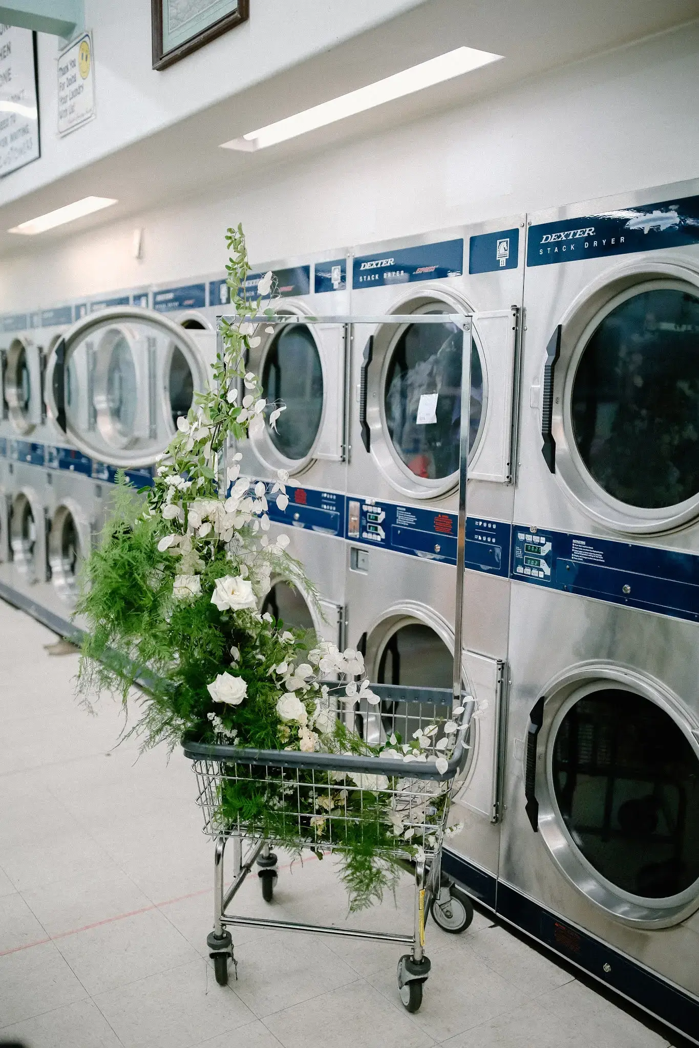 Alpine 24 Hour Laundromat - Image 8