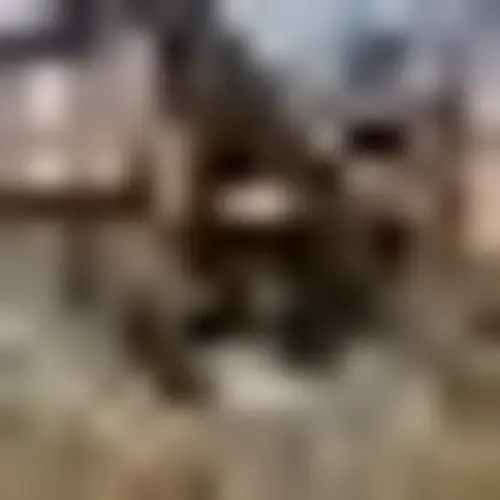 Always Washing - Image 6