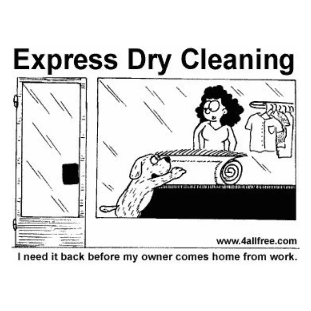 American Cleaners of Newburgh thumbnail 20