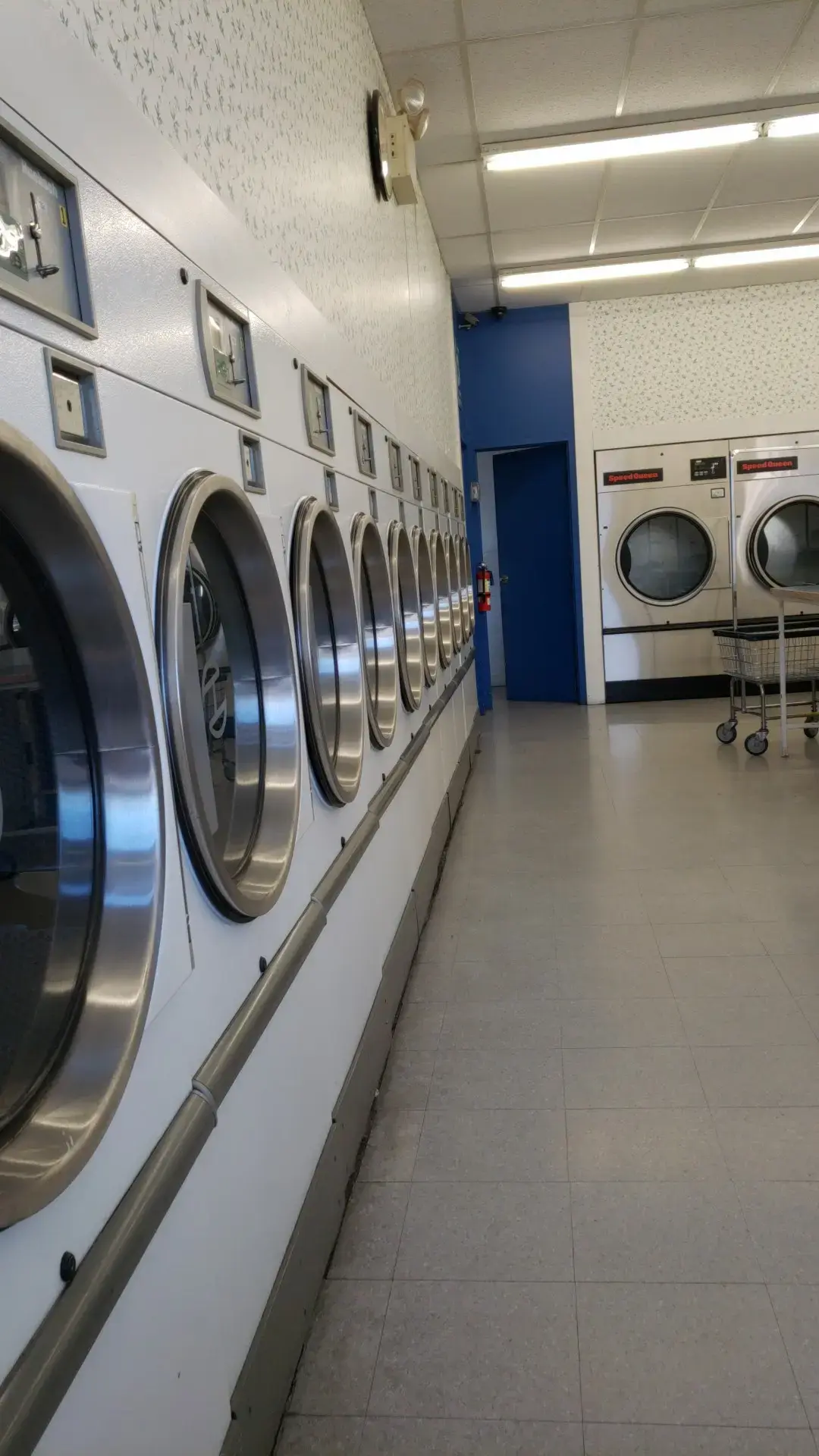 American Drycleaners location