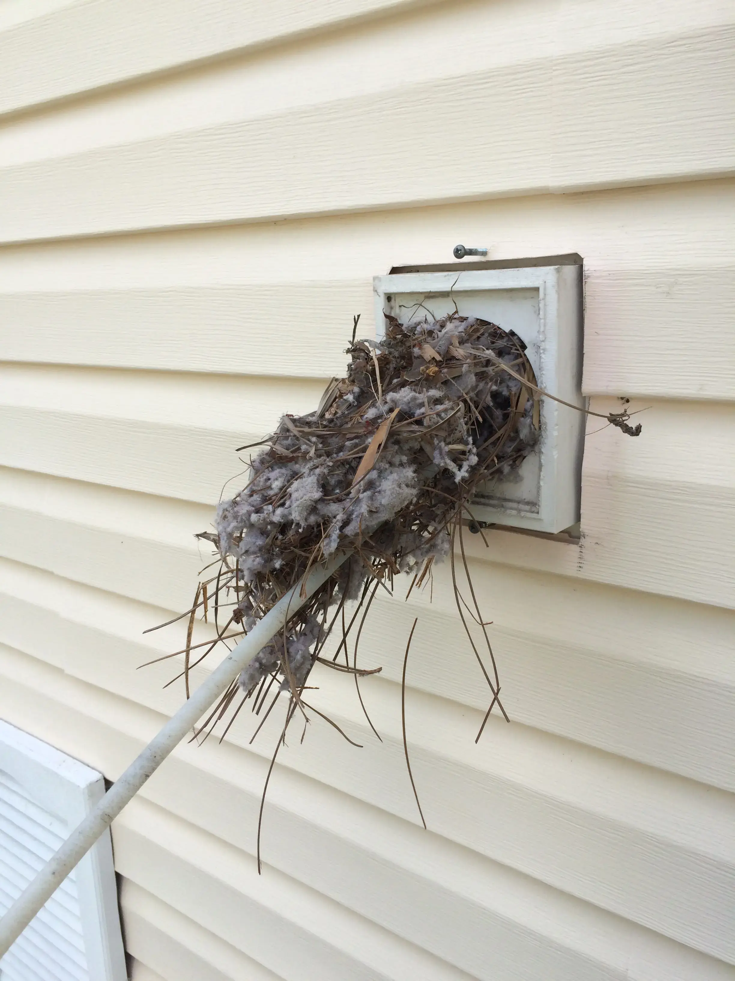 Amerovent Dryer Vent Cleaning - Image 2