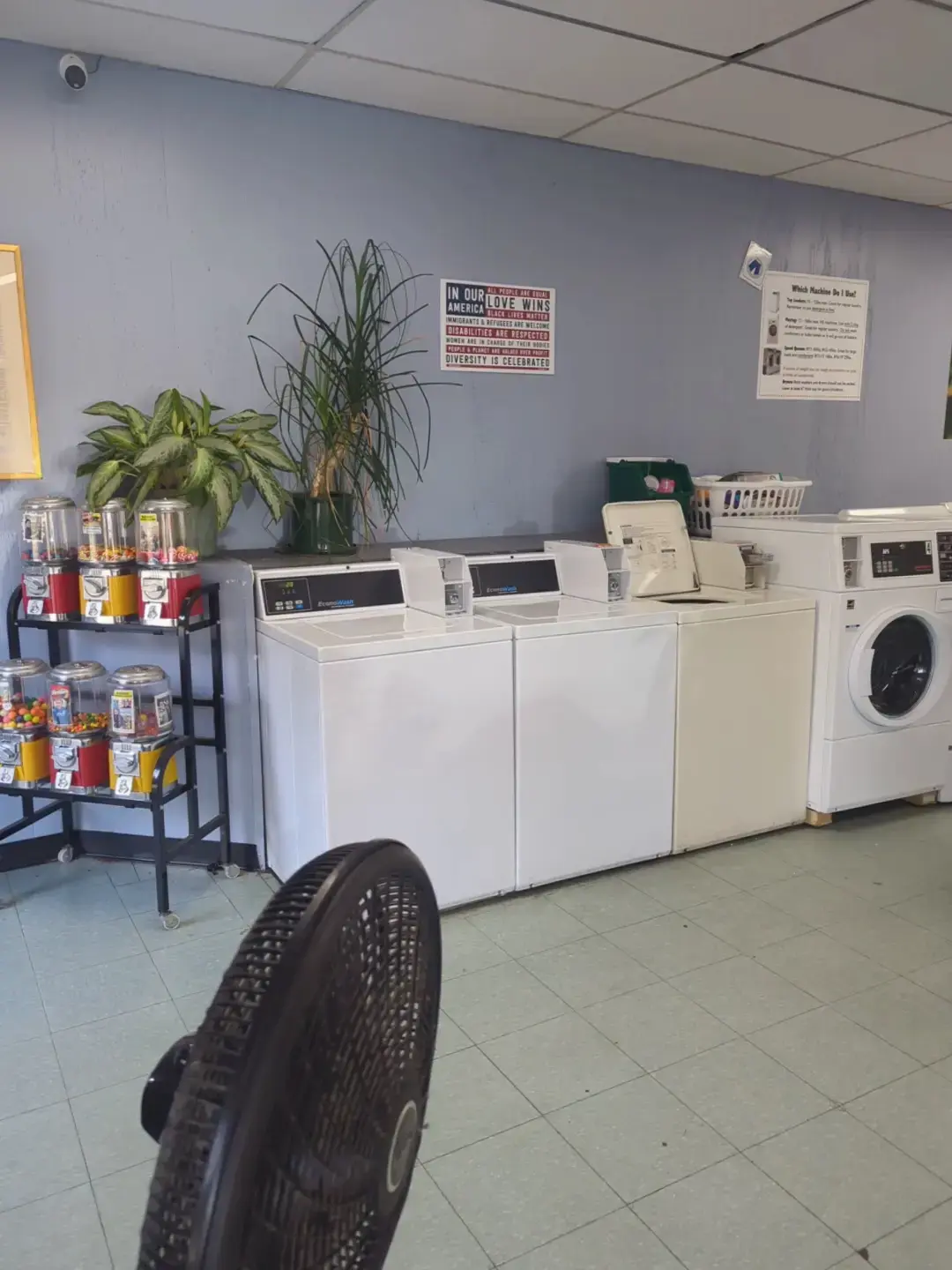 Amherst Eco Laundry - Image 5