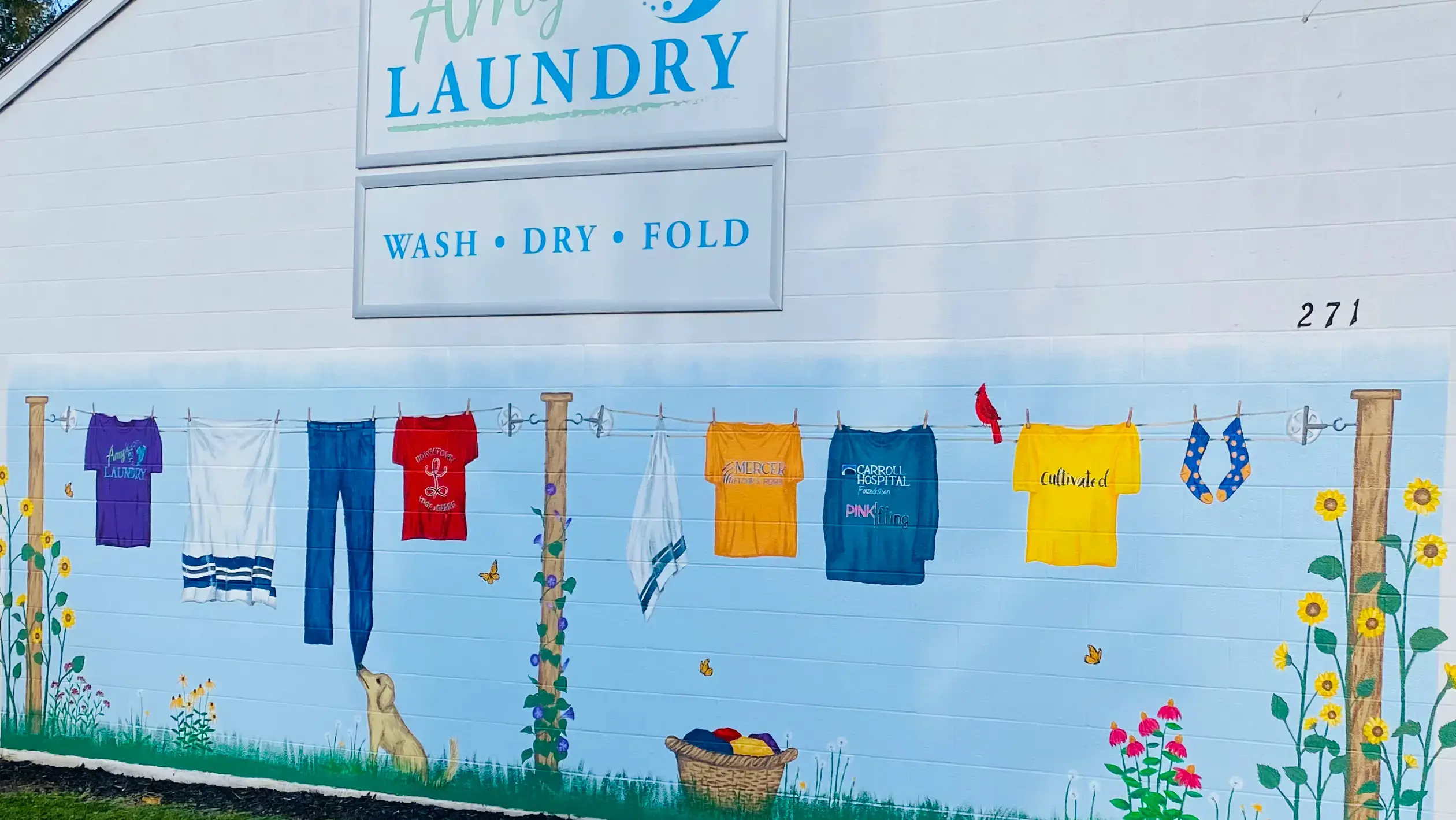 Amy's Laundry - Image 1